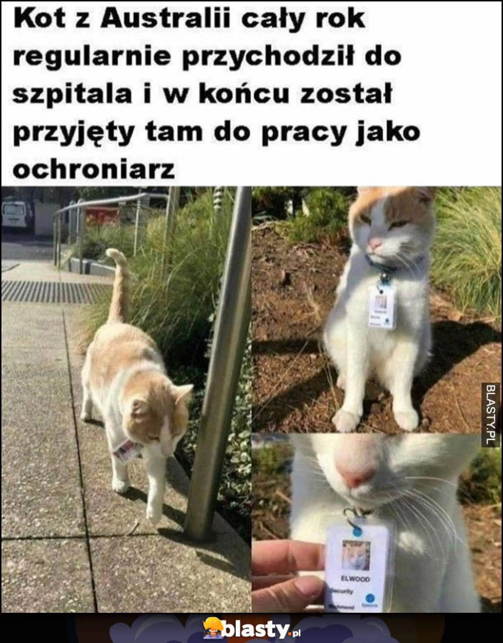 Do roboty