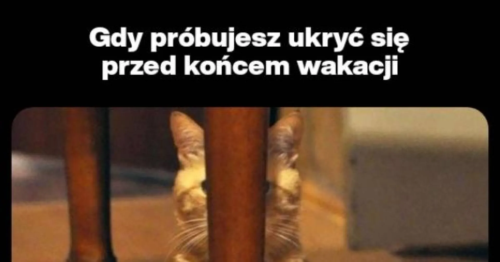 Nie da się!