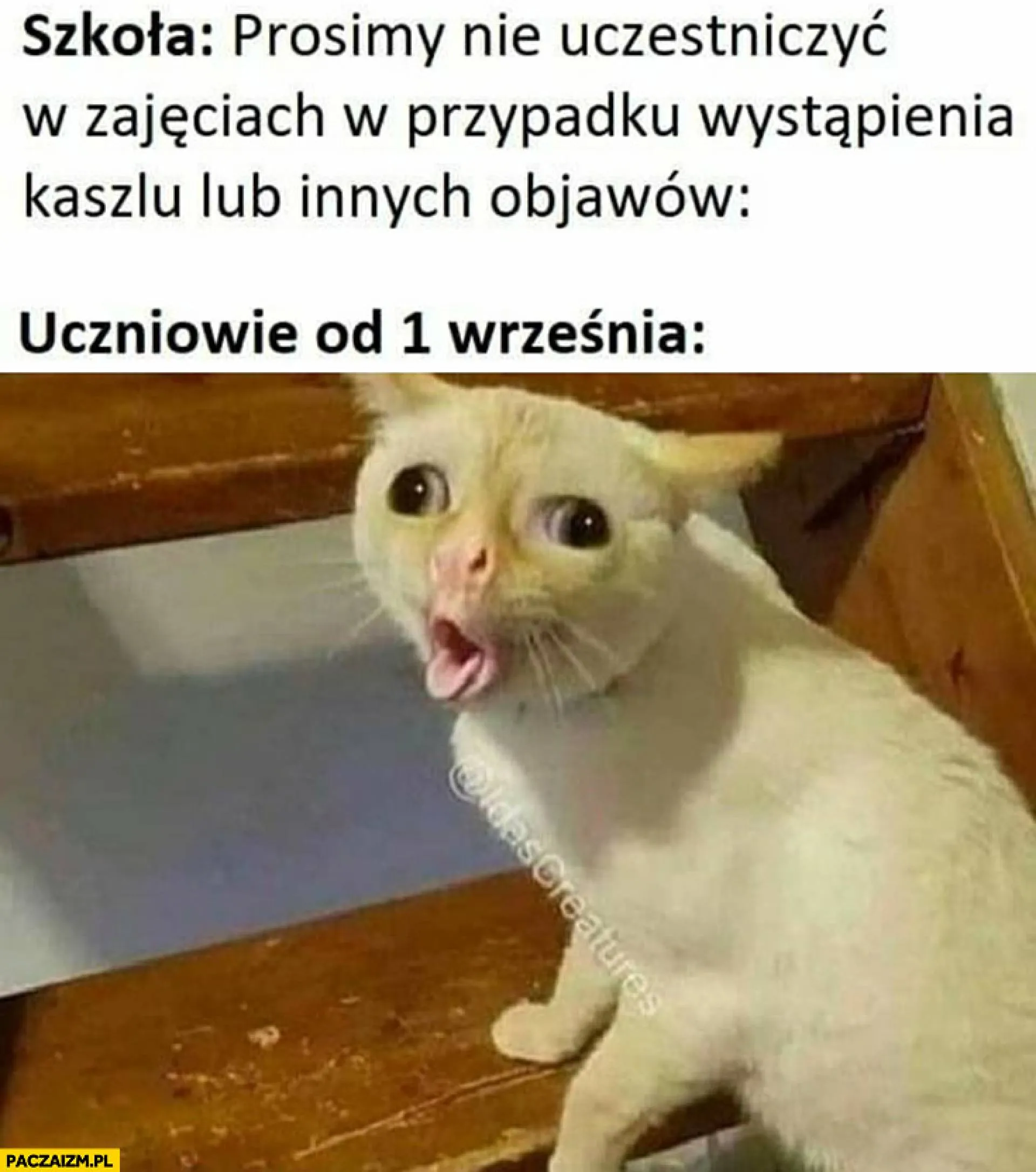 Uczniowie