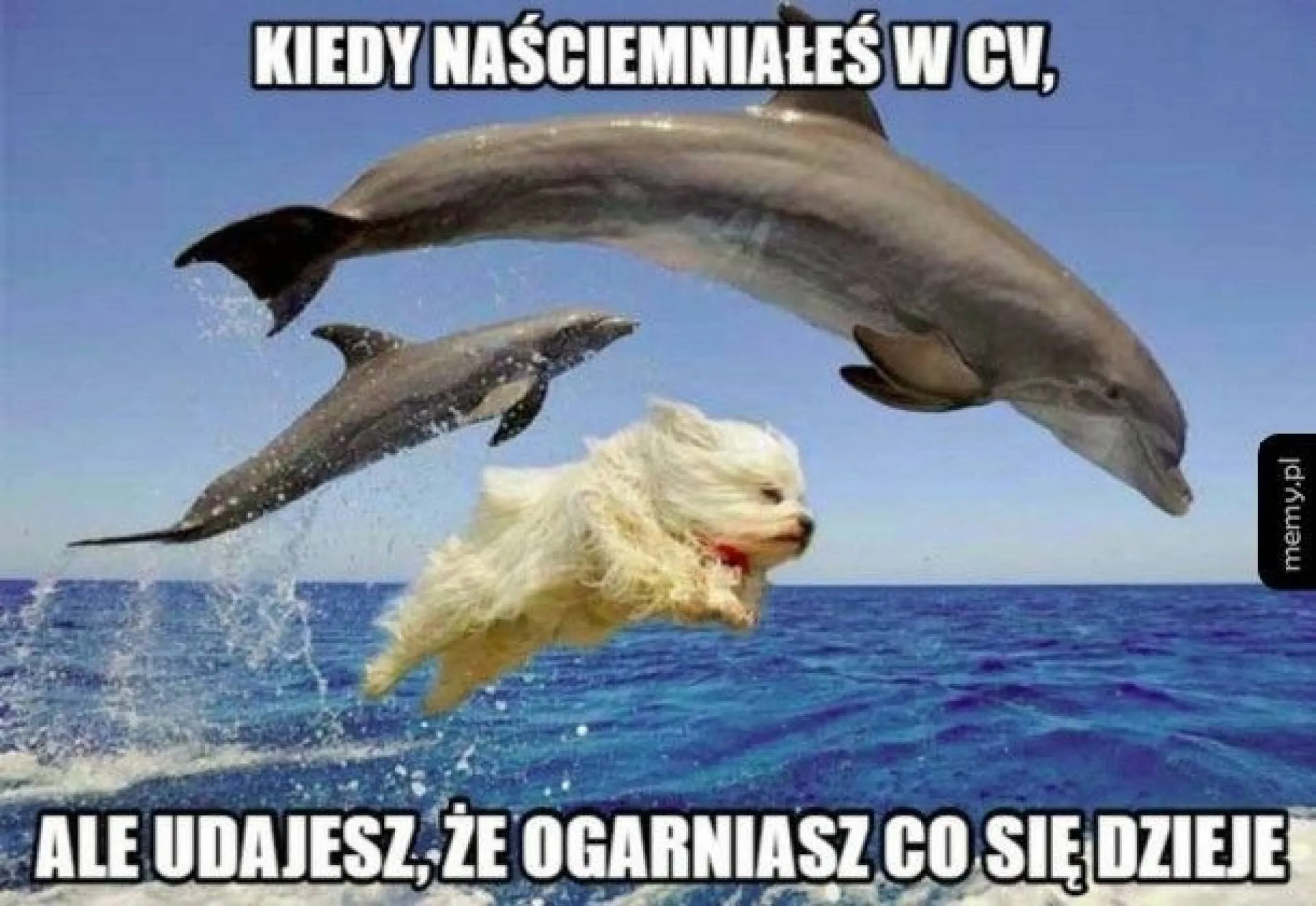 CV