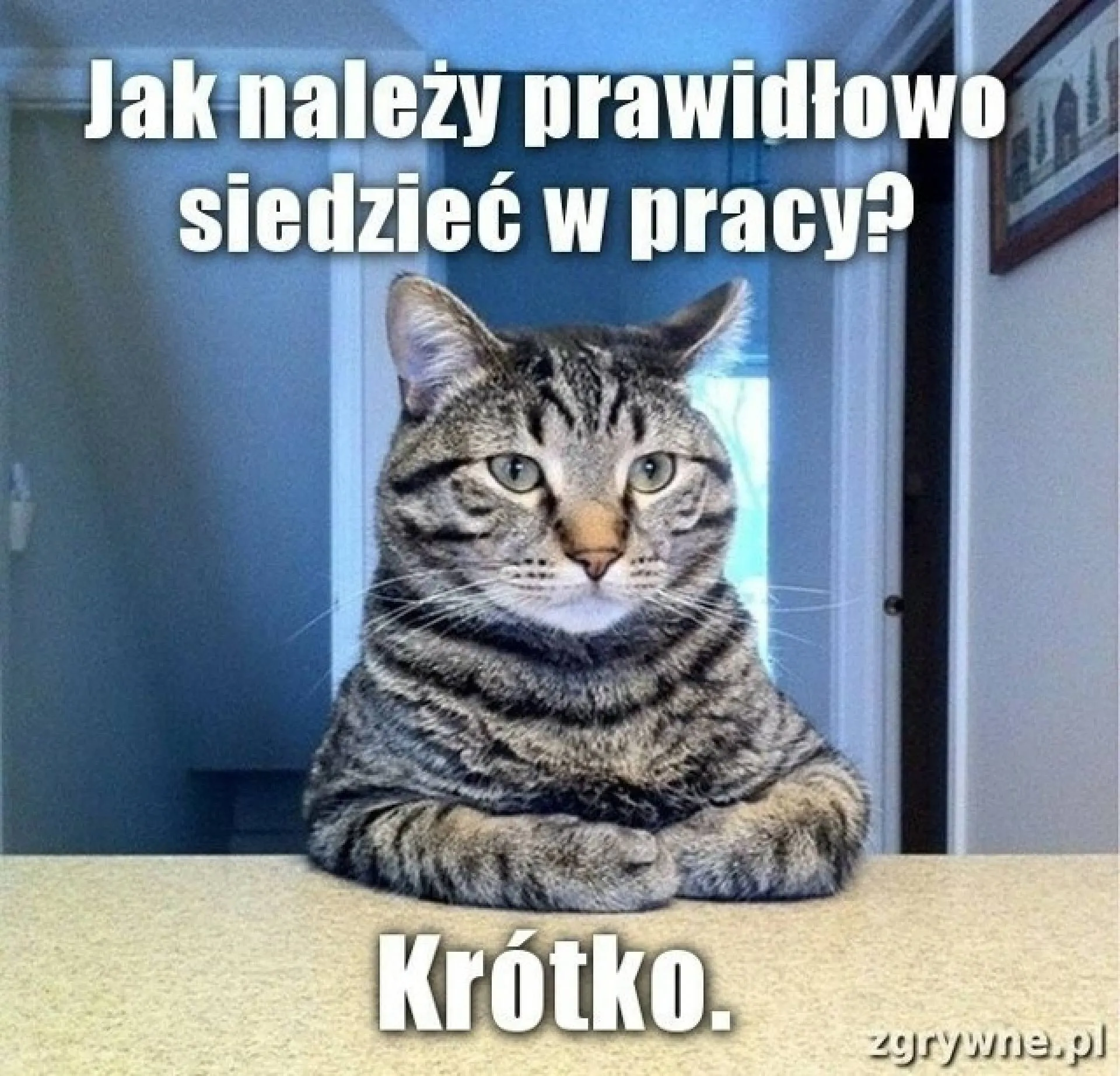 W pracy
