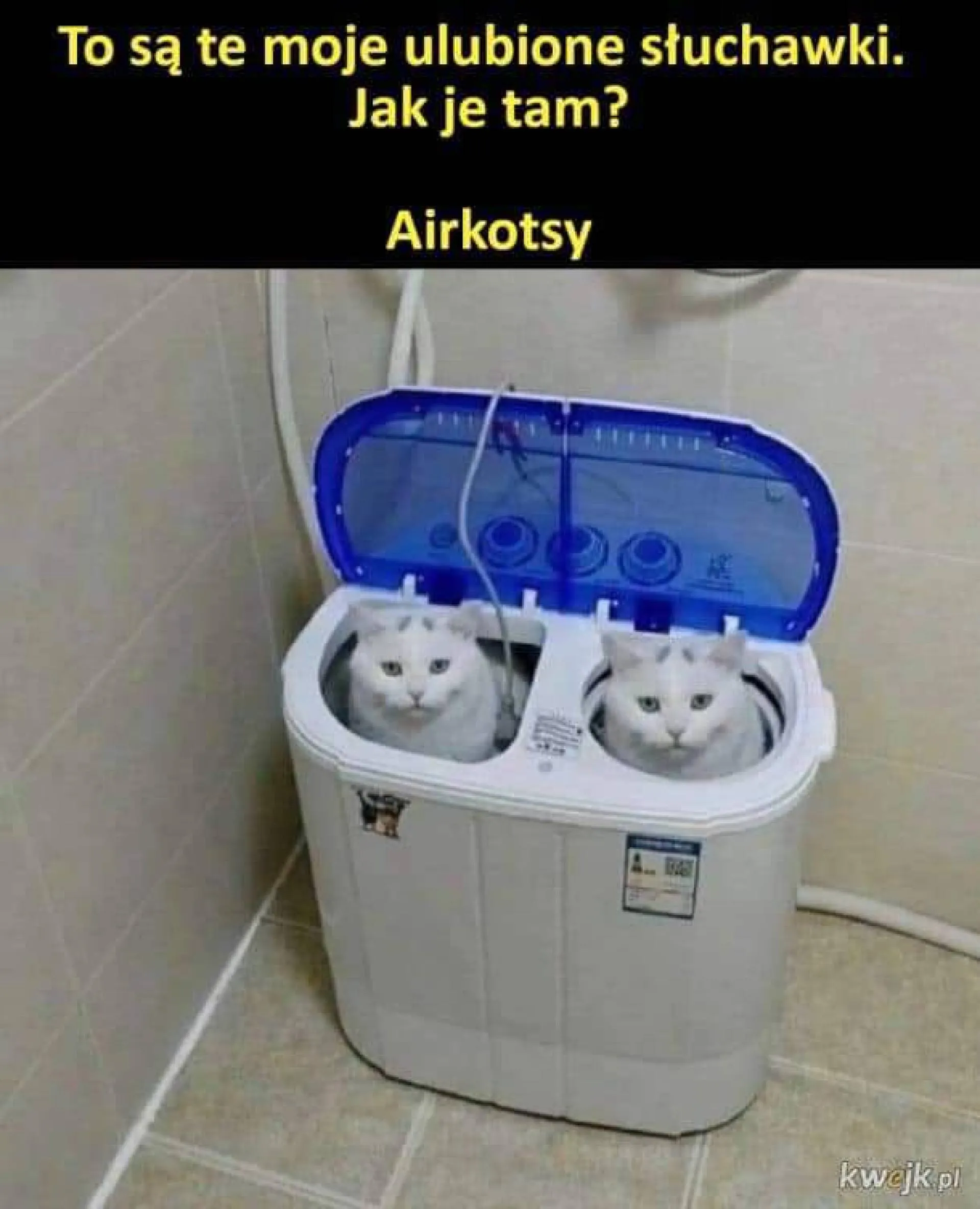 Dobrze grają?
