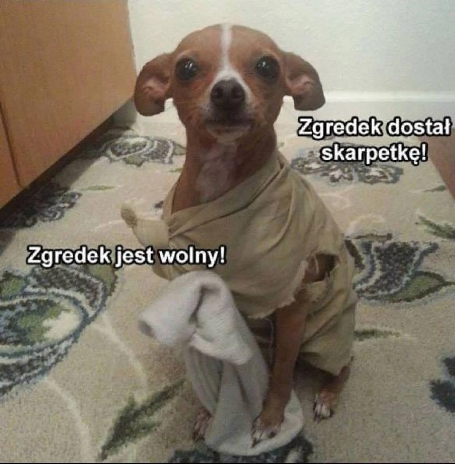 Jacyś fani Harry'ego Pottera?