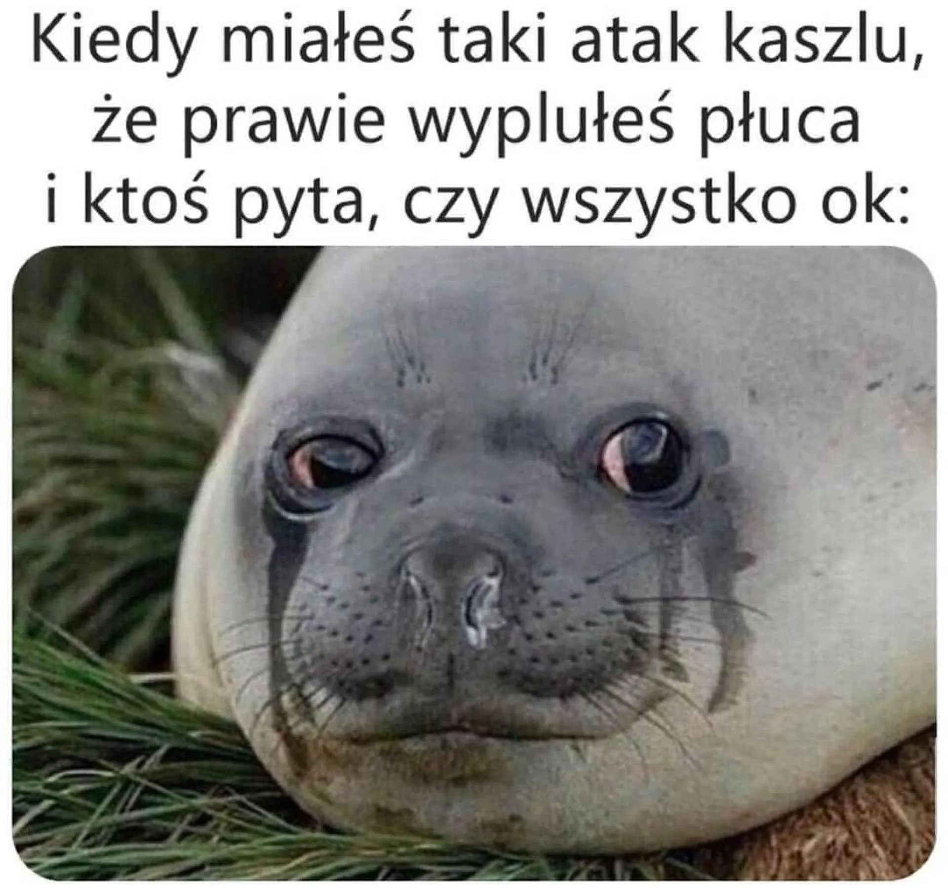 Dziękuję, wszystko w porządku