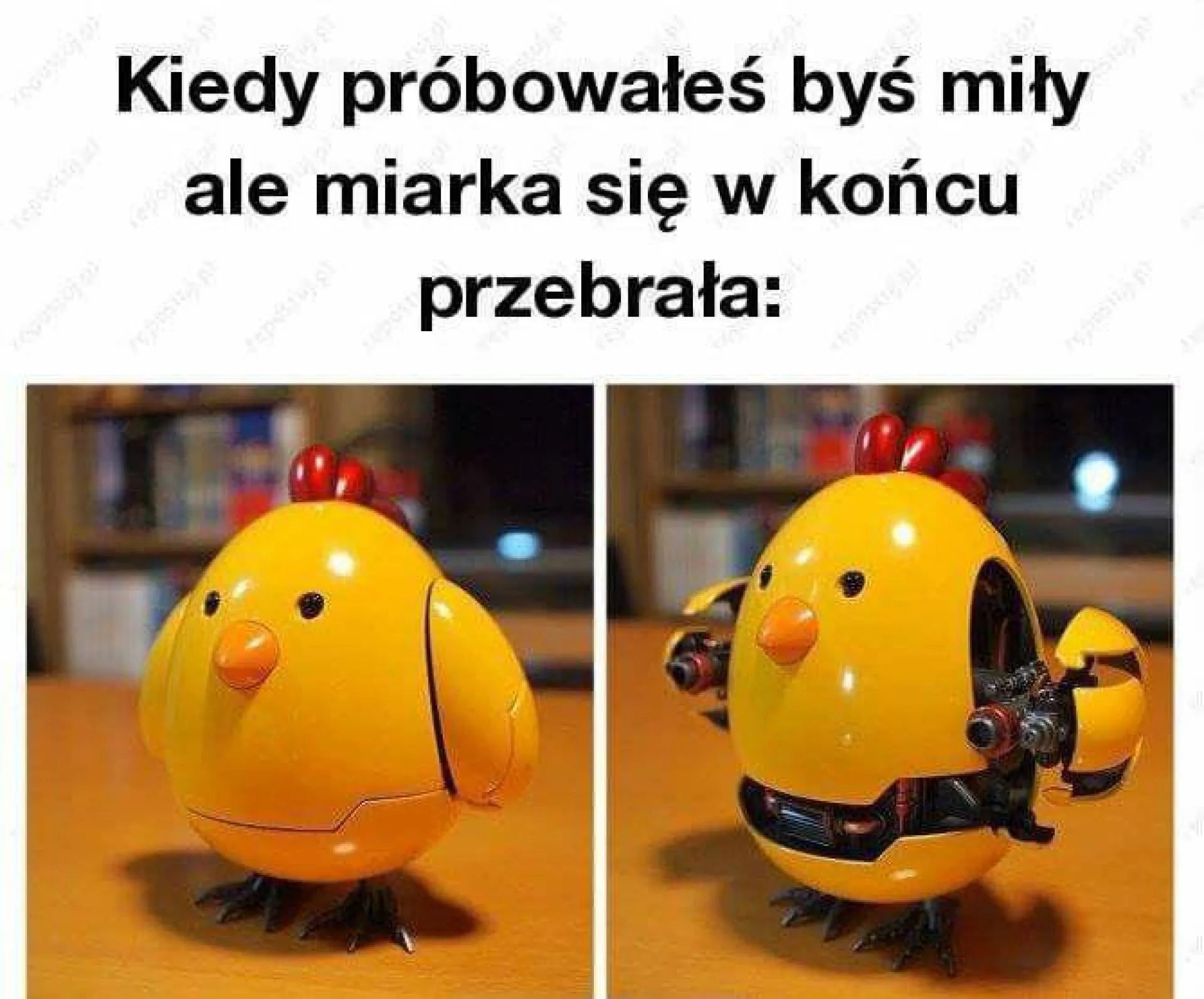 Dosyć tego