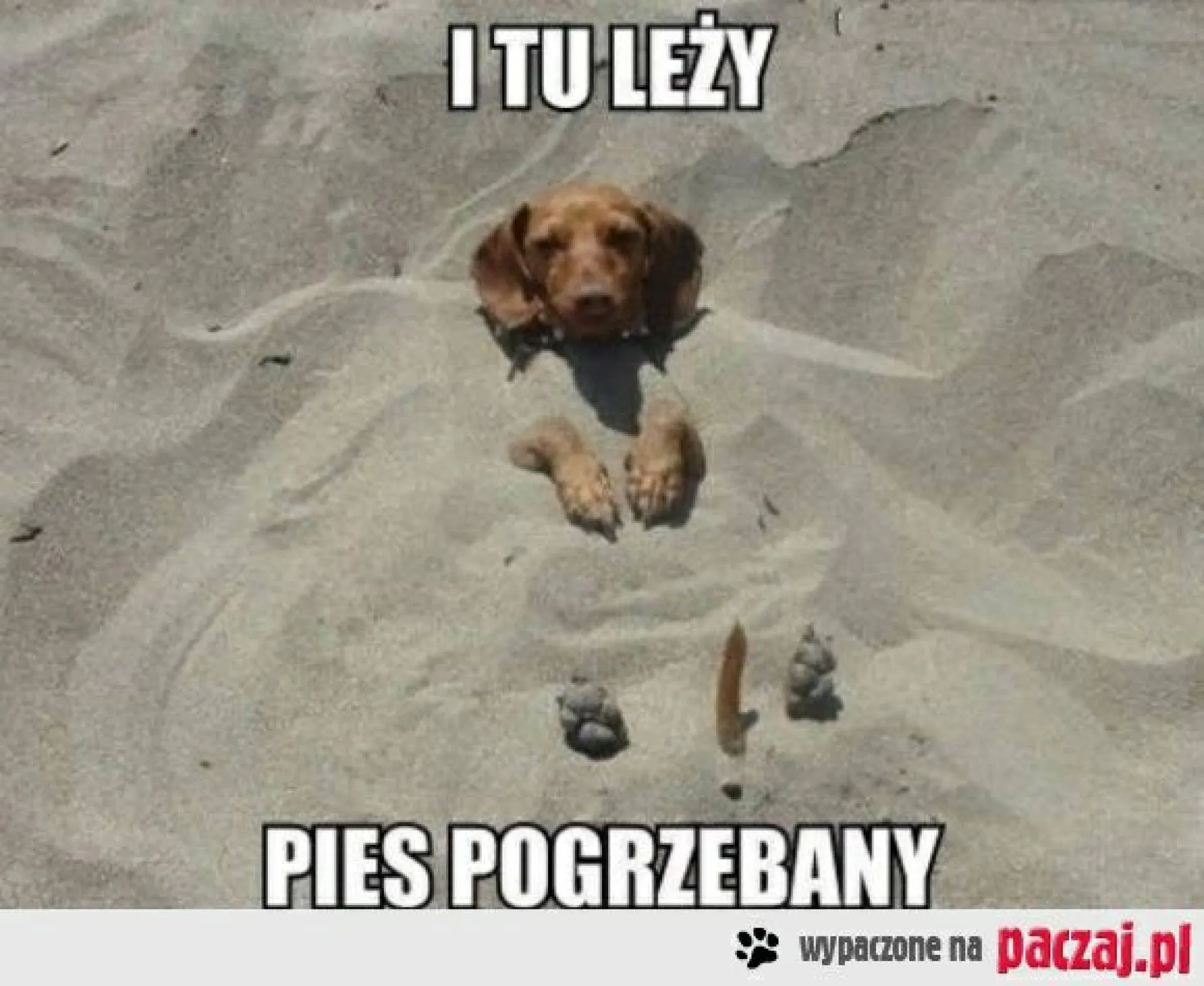 Dosłownie