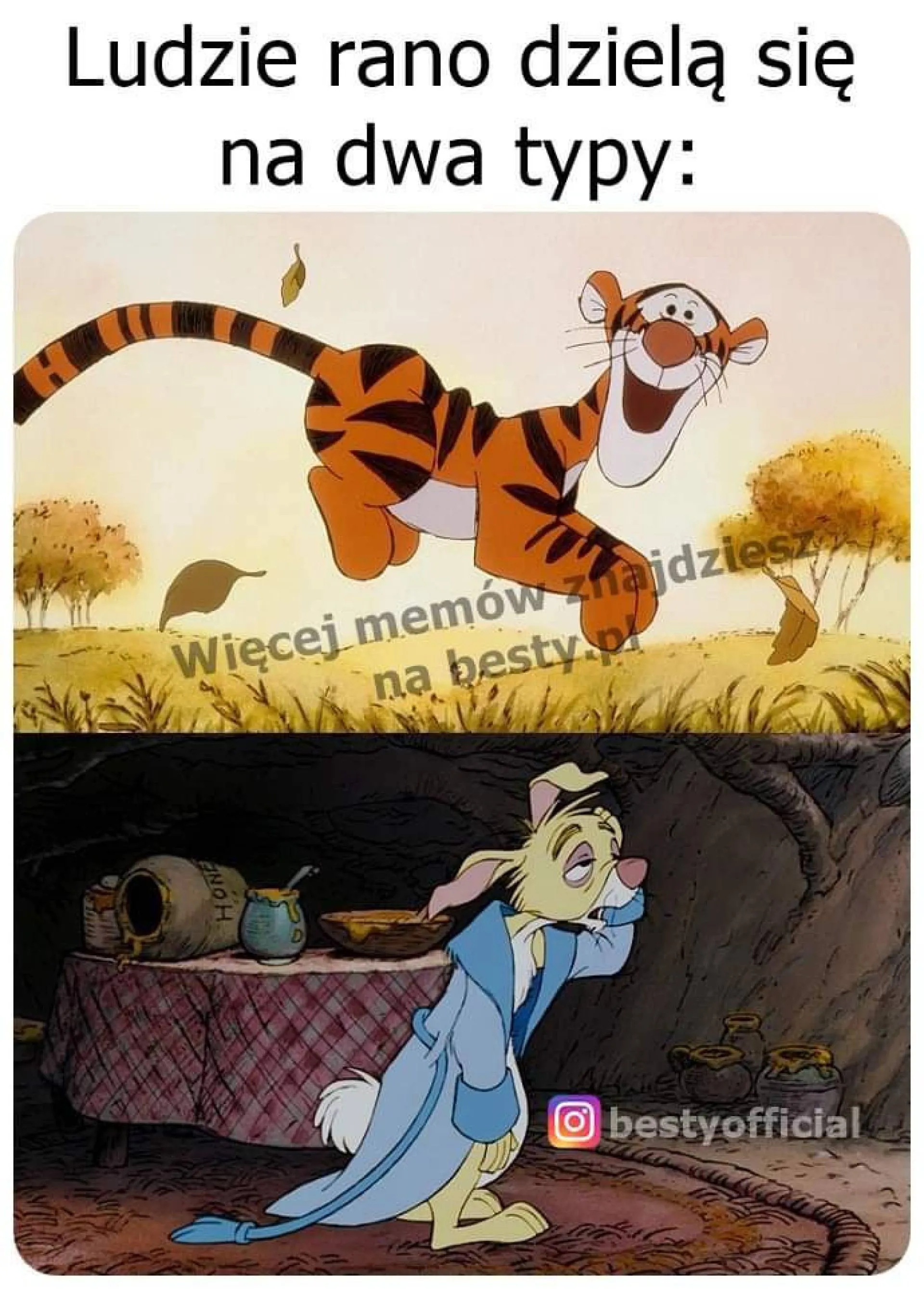 Którym typem jesteś?