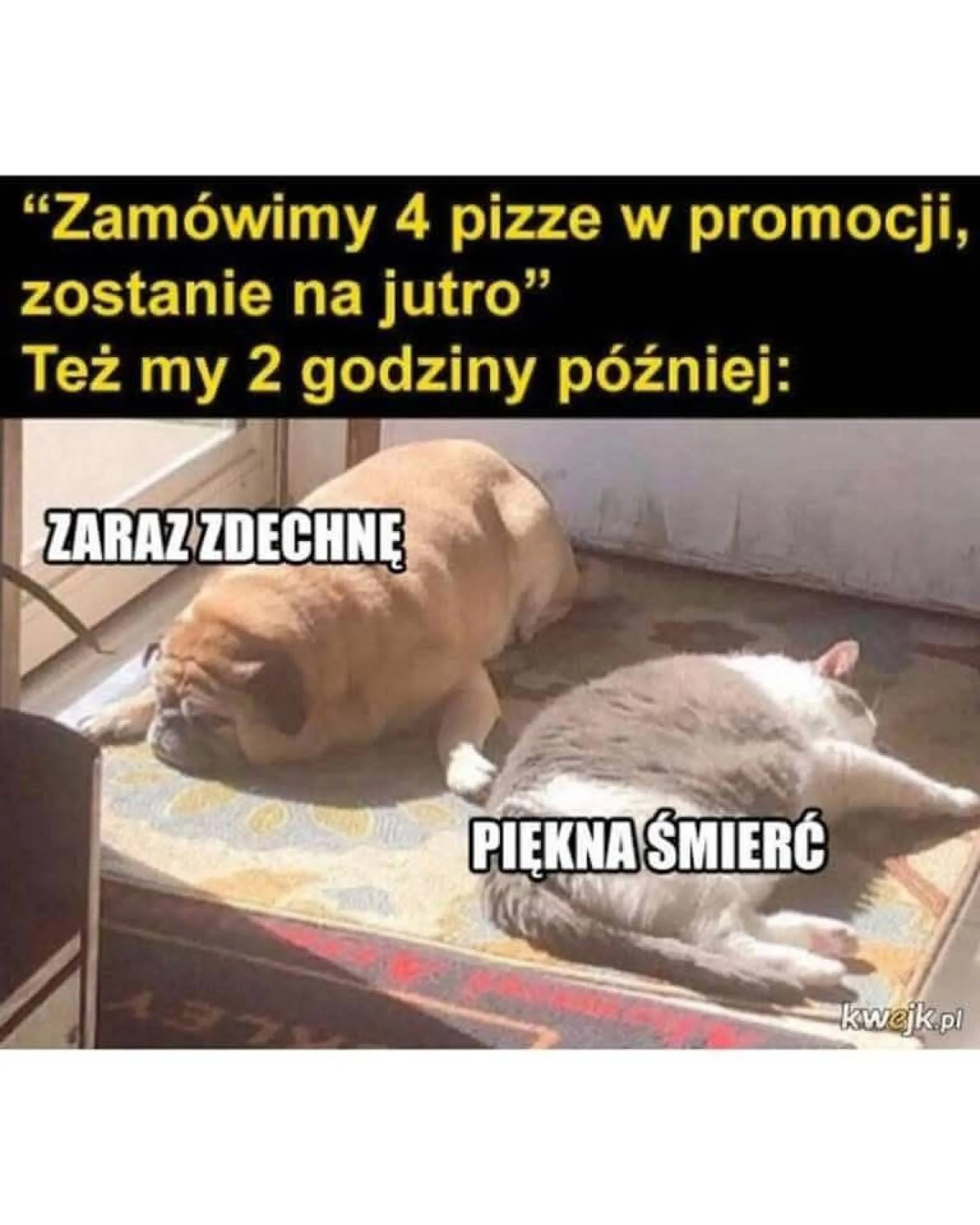 Przesadzili