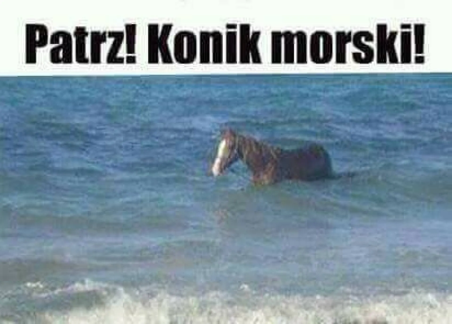 Niby tak, ale...