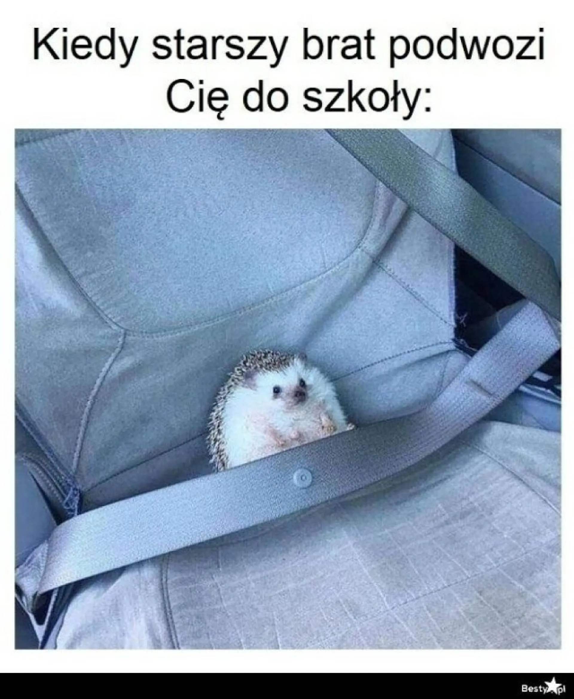 Podwózka