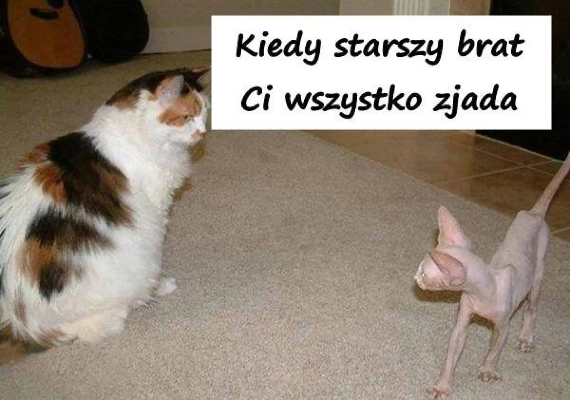Starszy brat
