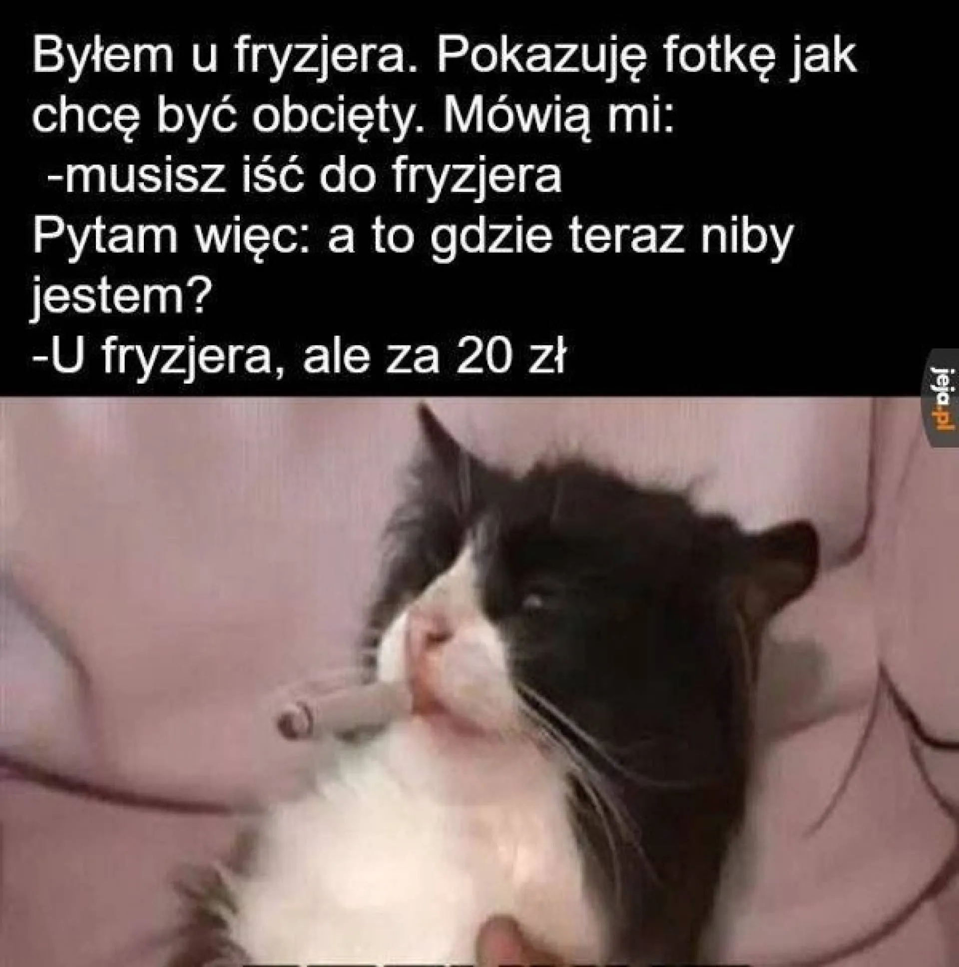 Za 20 zł