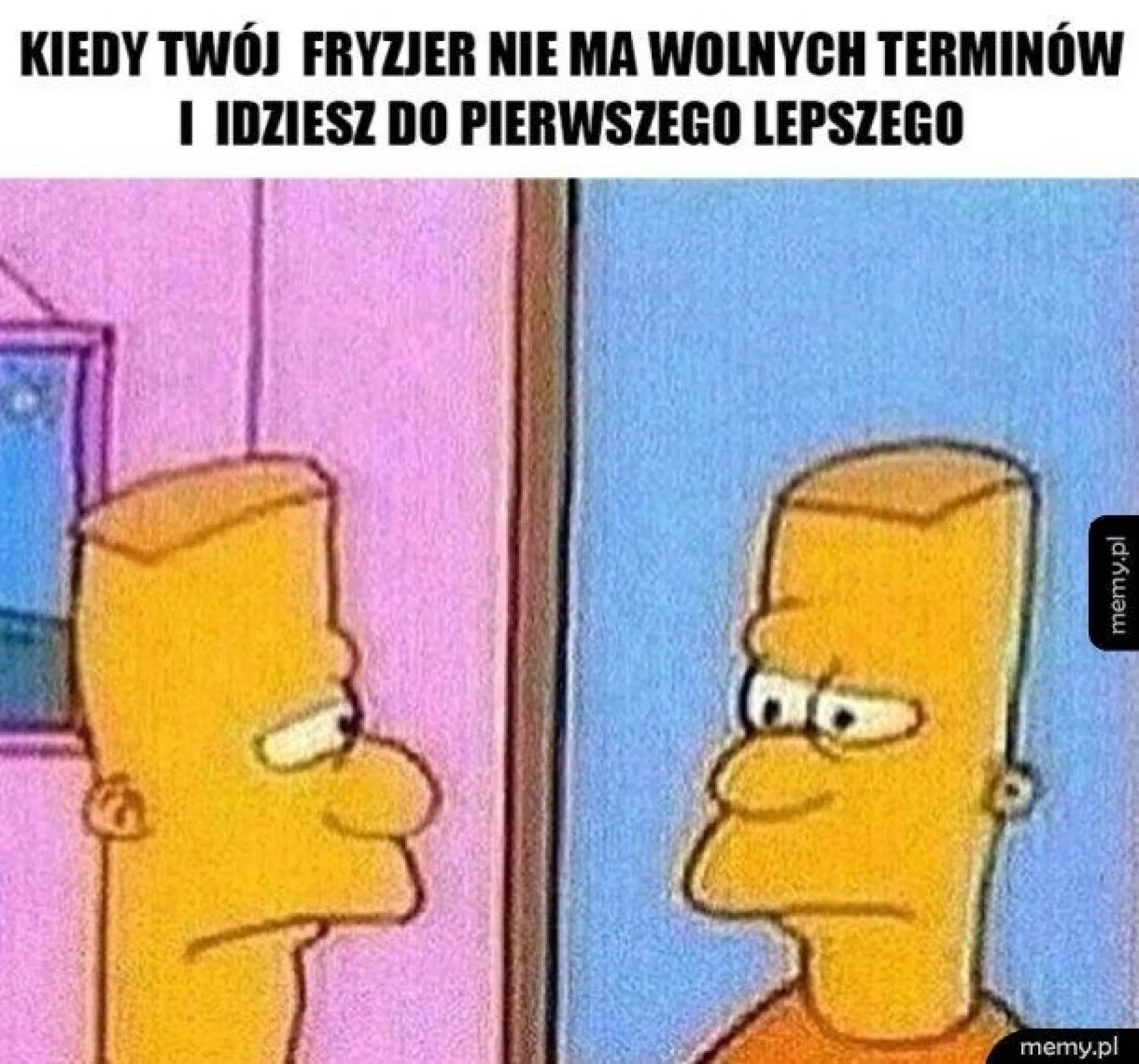 Terminy