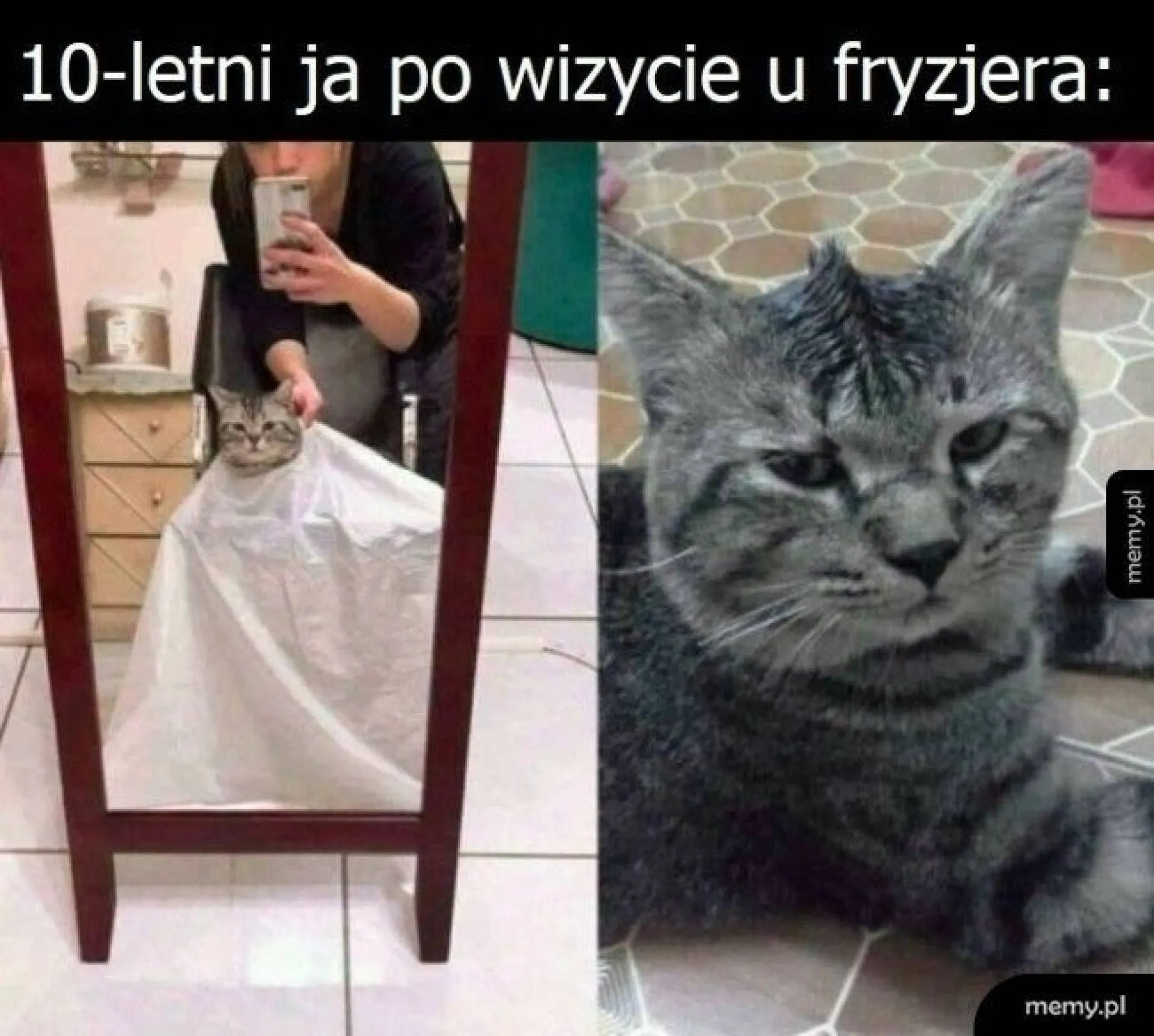 10-letni