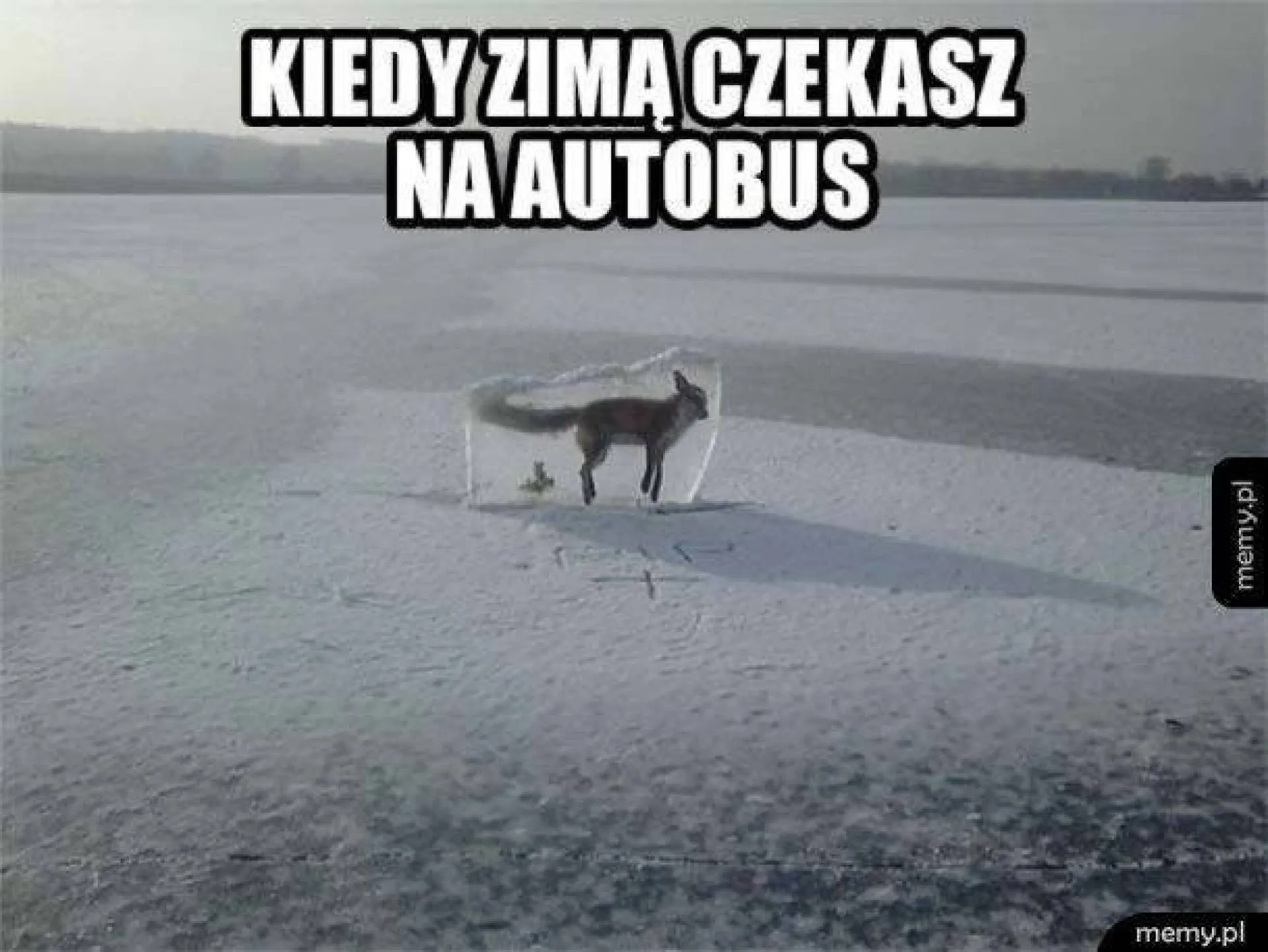 Coś się przedłuża