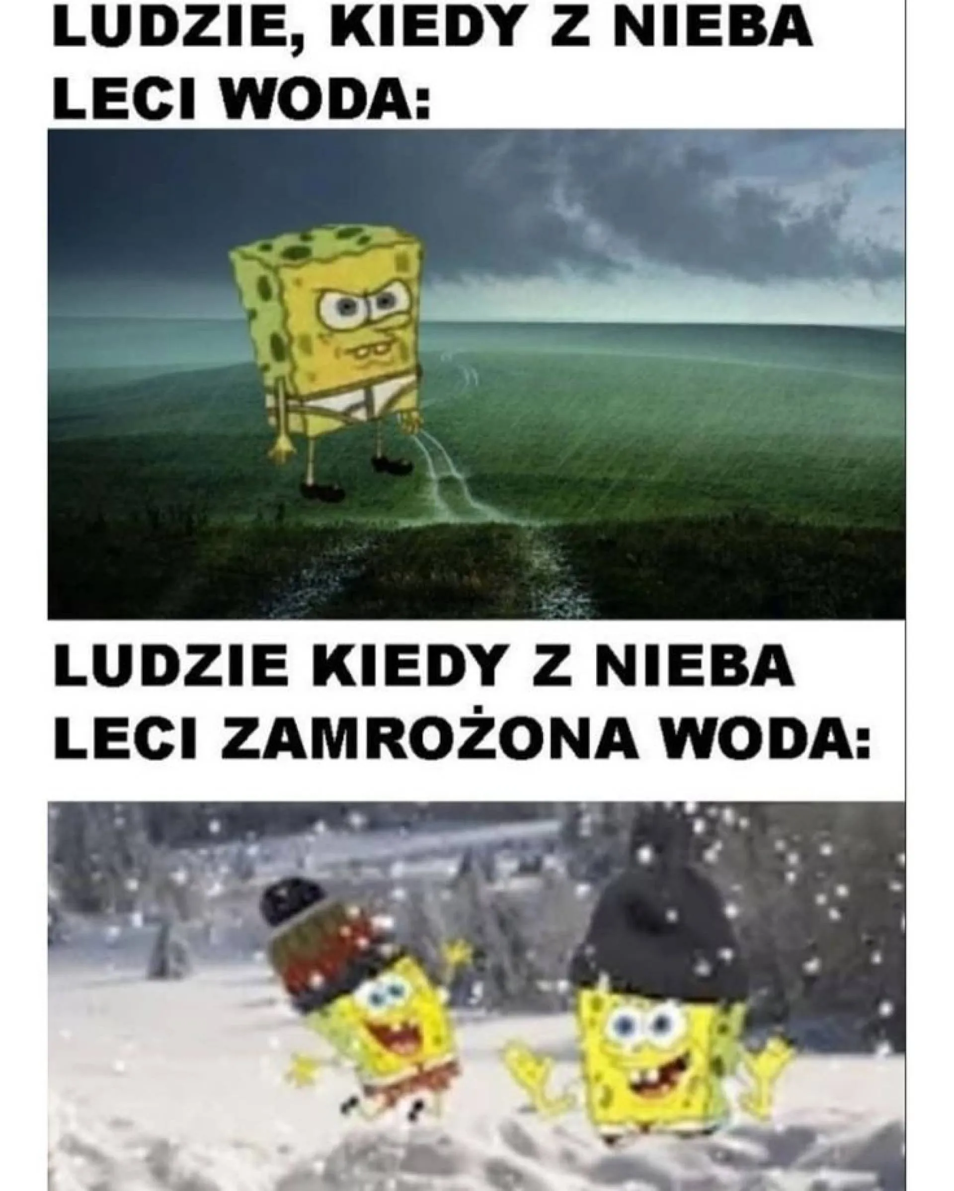 Coś w tym jest