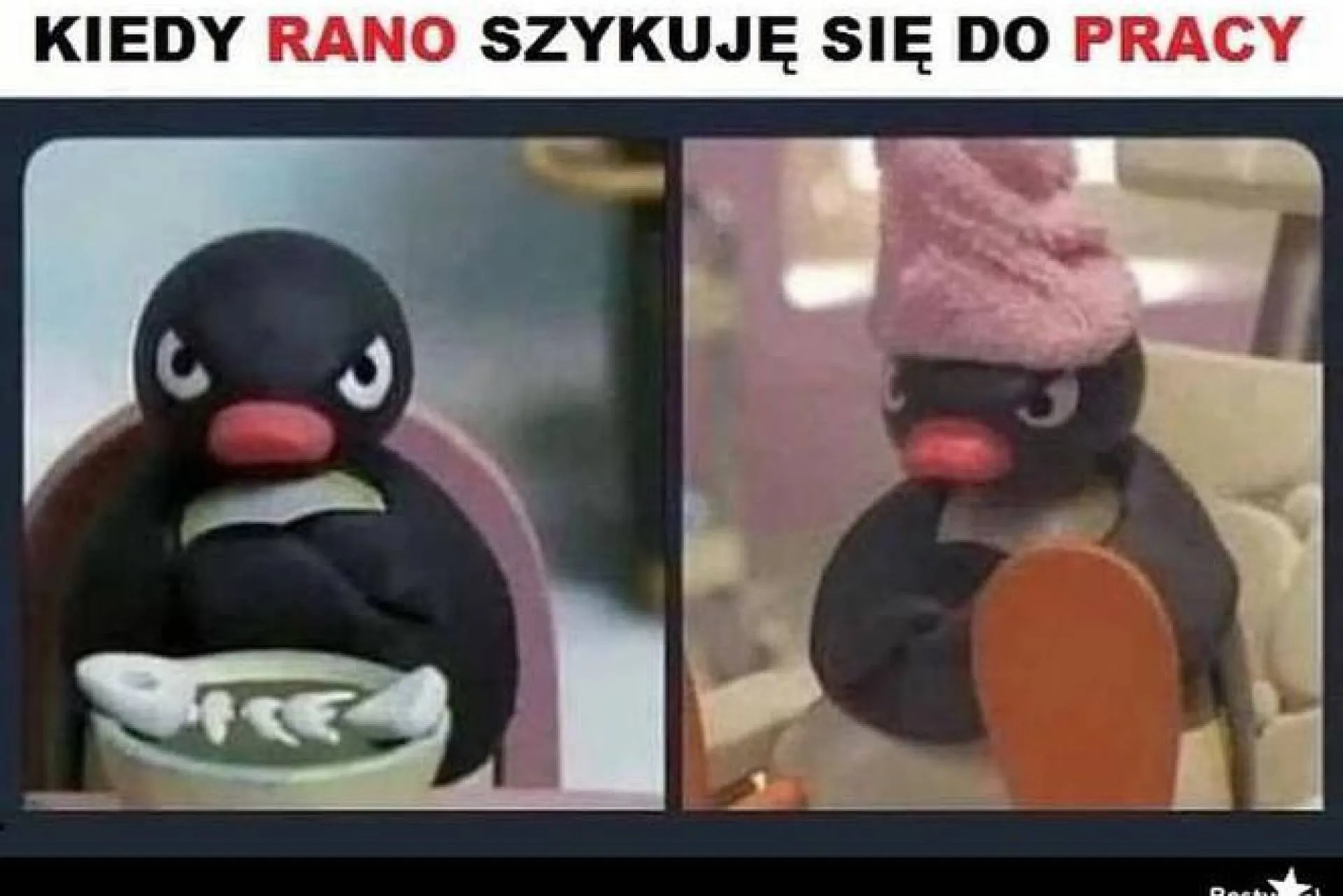 I tak każdego dnia