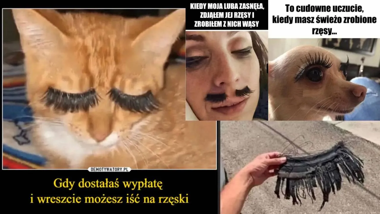 Dzień Stylistek Rzęs. Dziewczyny - radzimy trochę dystansu! ZOBACZ MEMY