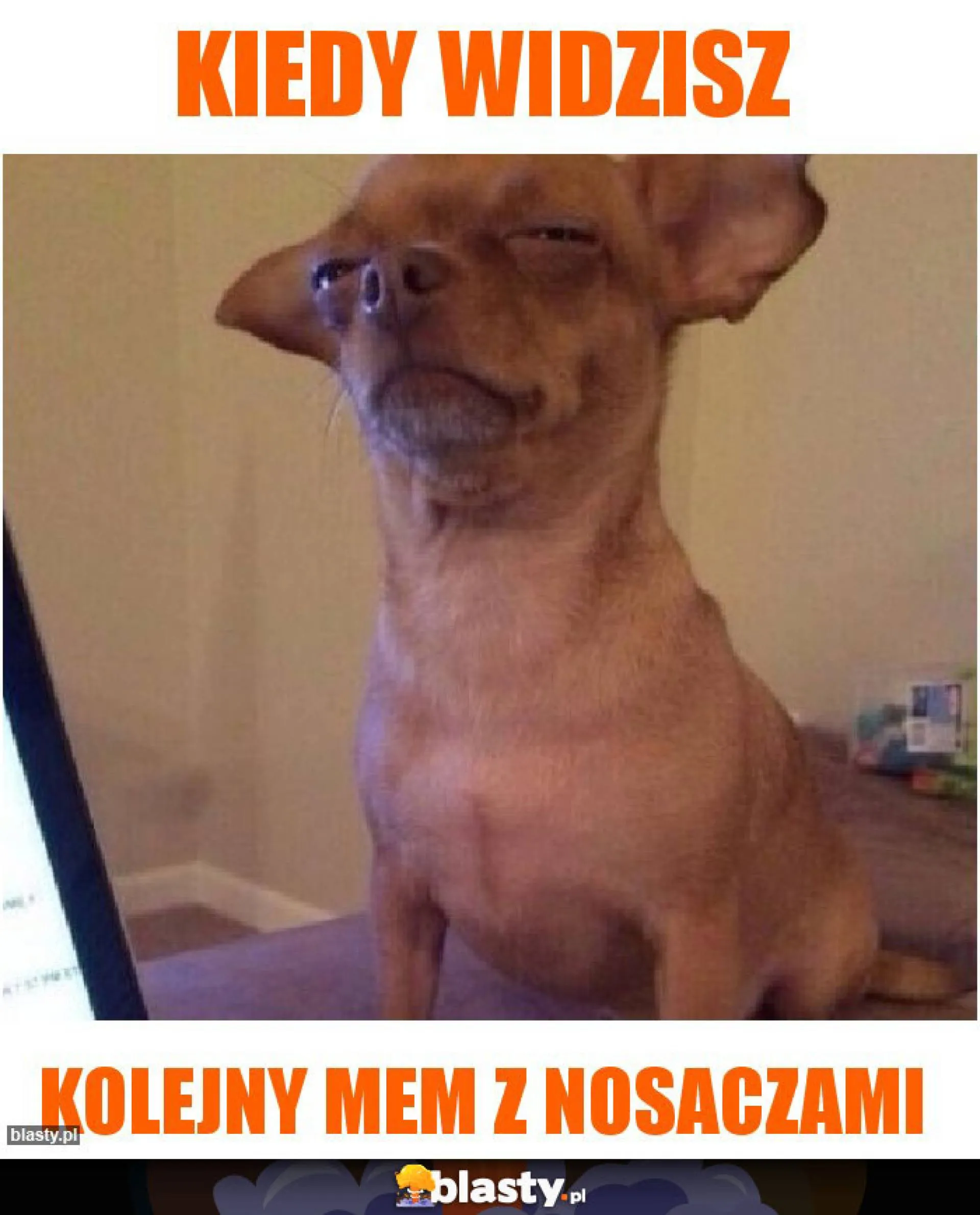 Tego już za wiele