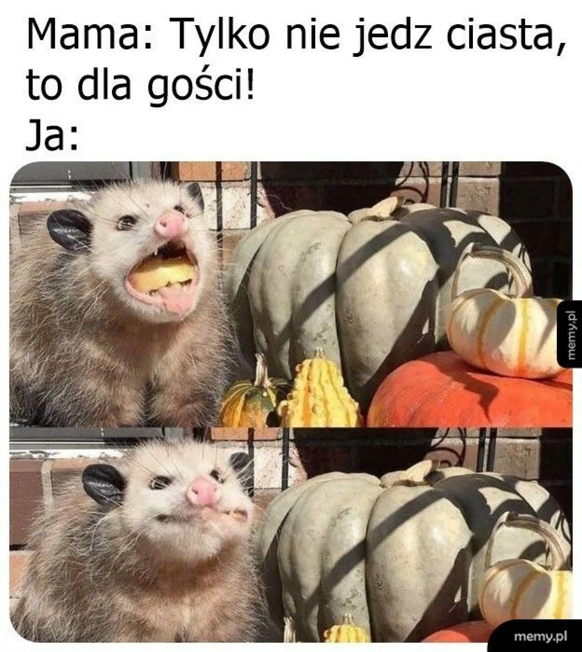 Nikt nie widział