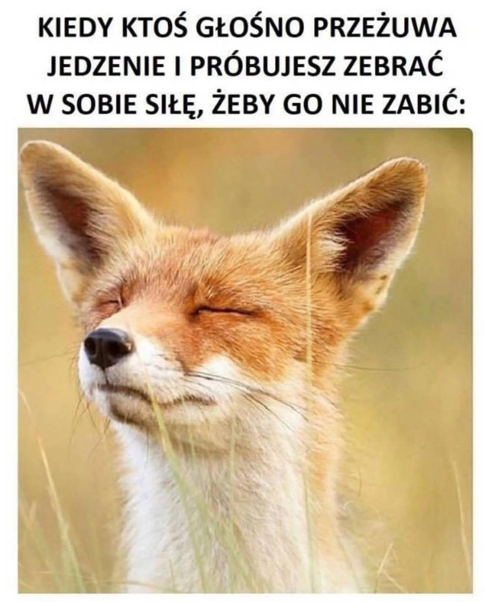 Może wyprowadzić w z równowagi