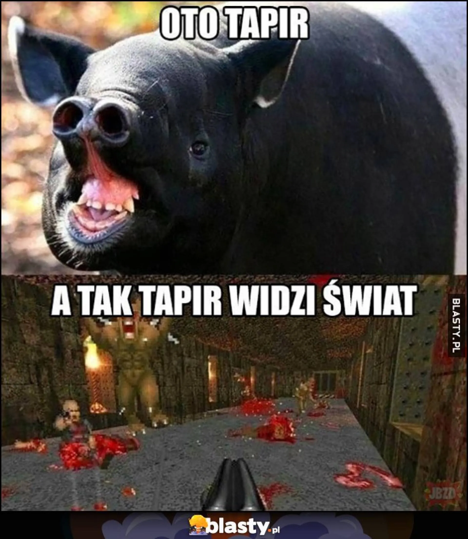 Killer
