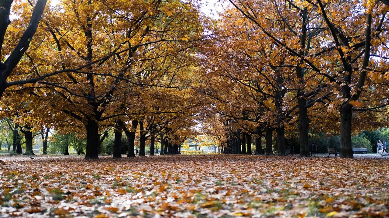 Kolejny słoneczny weekend. Potem znów ochłodzenie