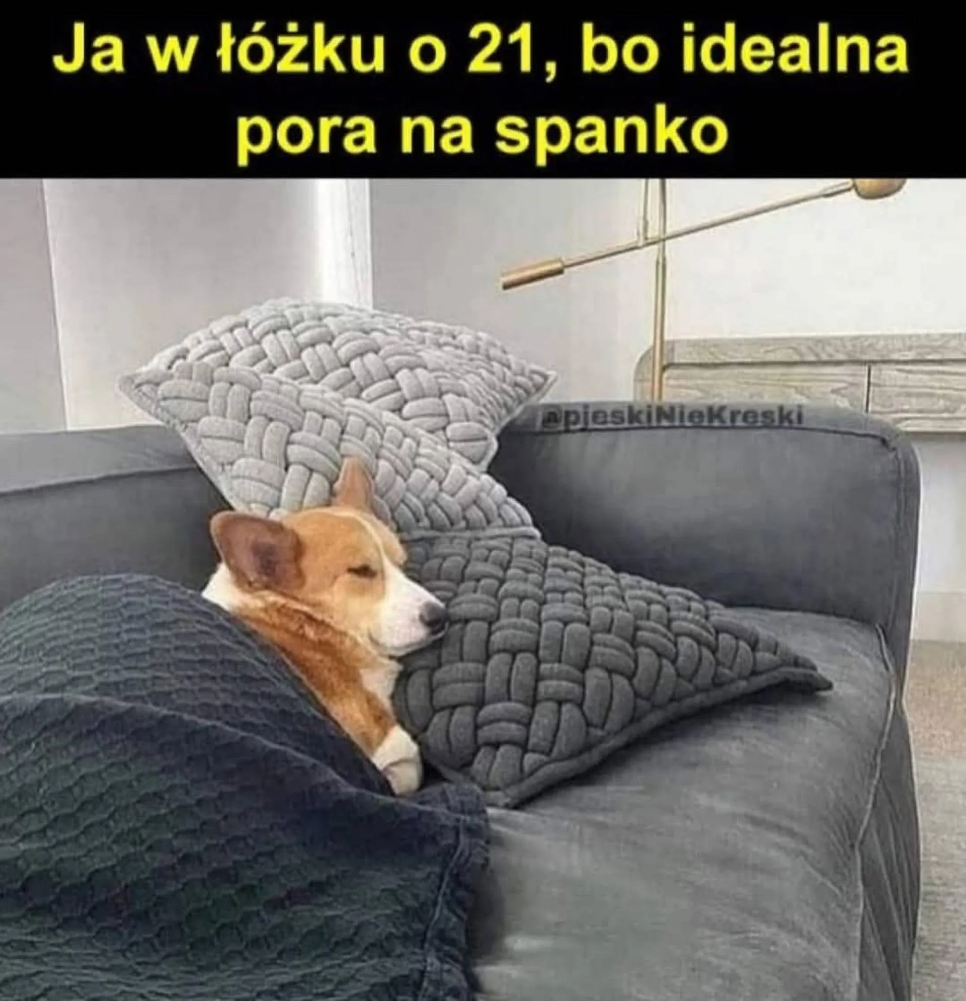 21.00