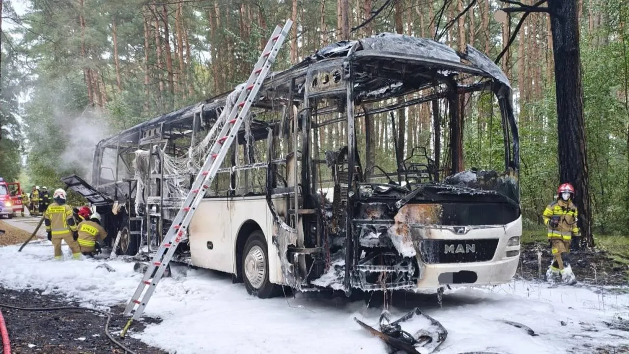 Przedszkolaki jechały na wycieczkę do zoo. Ich autobus doszczętnie spłonął