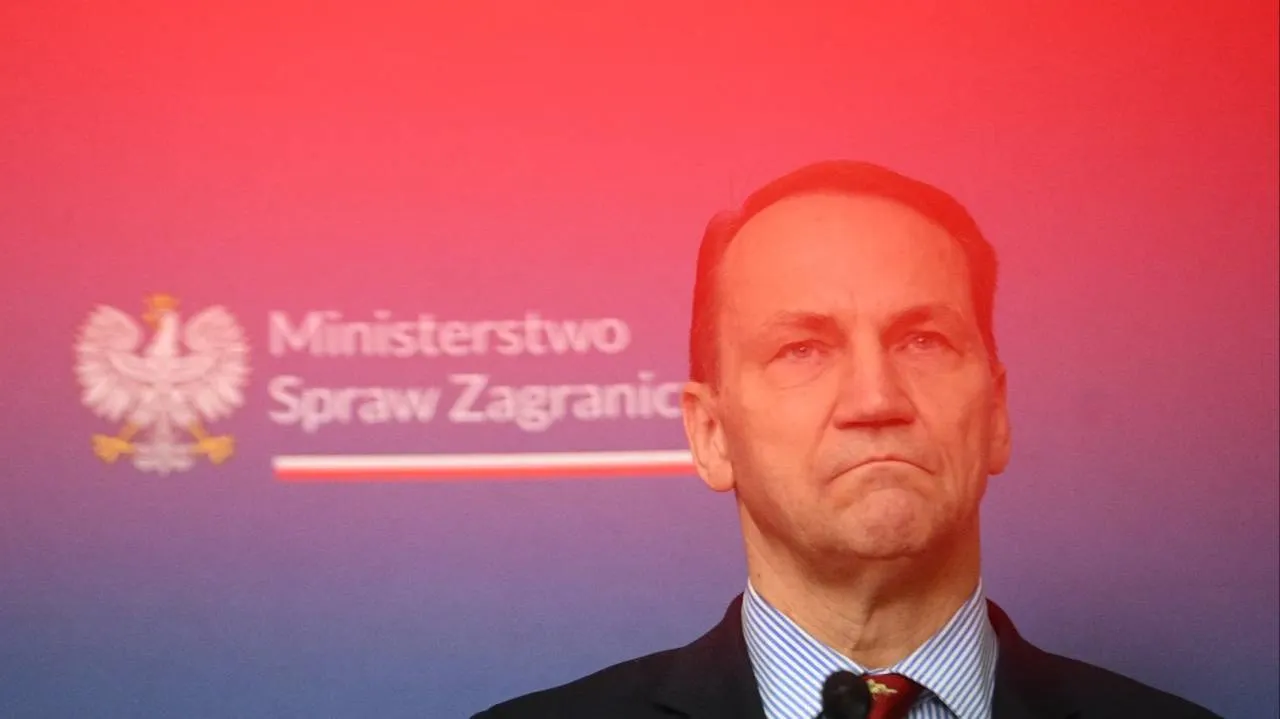 Ukraińcy przypomnieli, co miał mówić Sikorski o Wołodymyrze Z. "Wystarczyło, że Niemiec tupnął nogą"