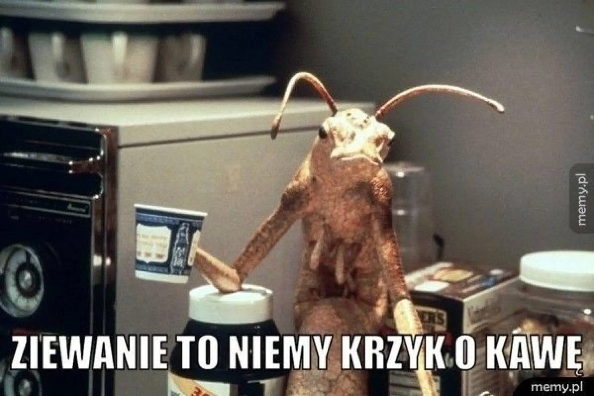 Ziewanie