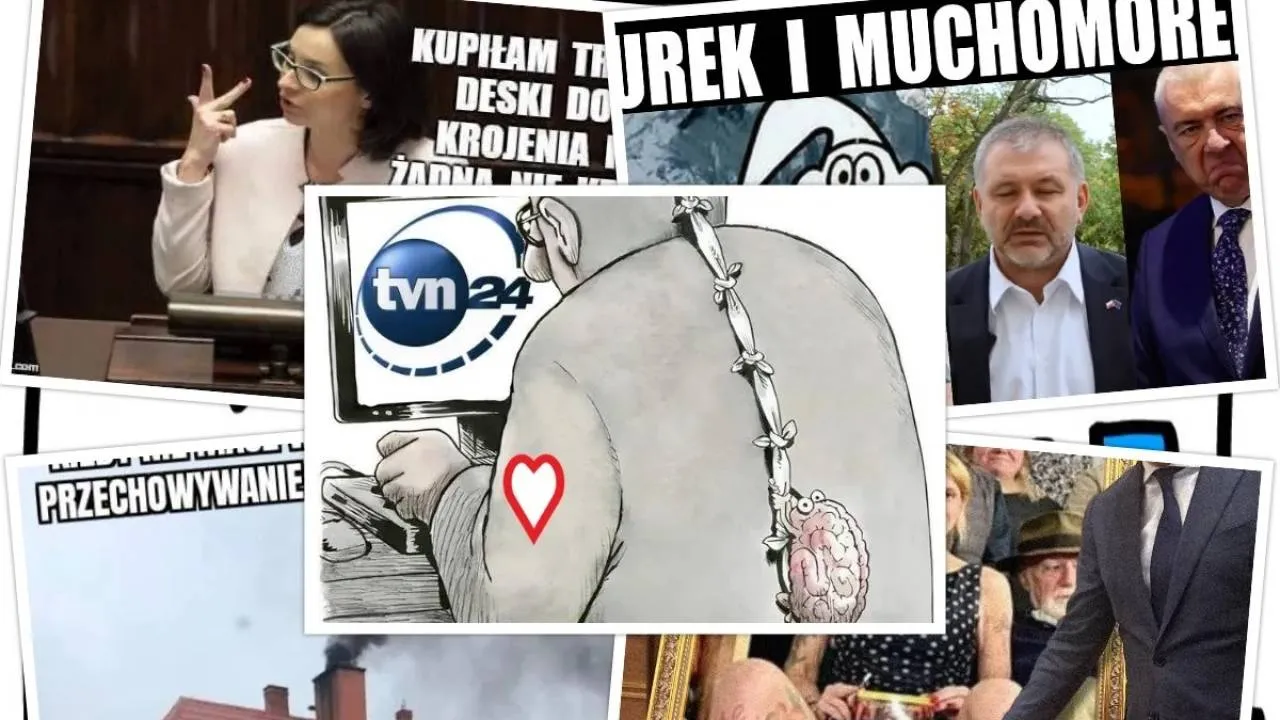 MEMY rządzą internetem. Polityka i system kaucyjny w roli głównej [ZOBACZ]