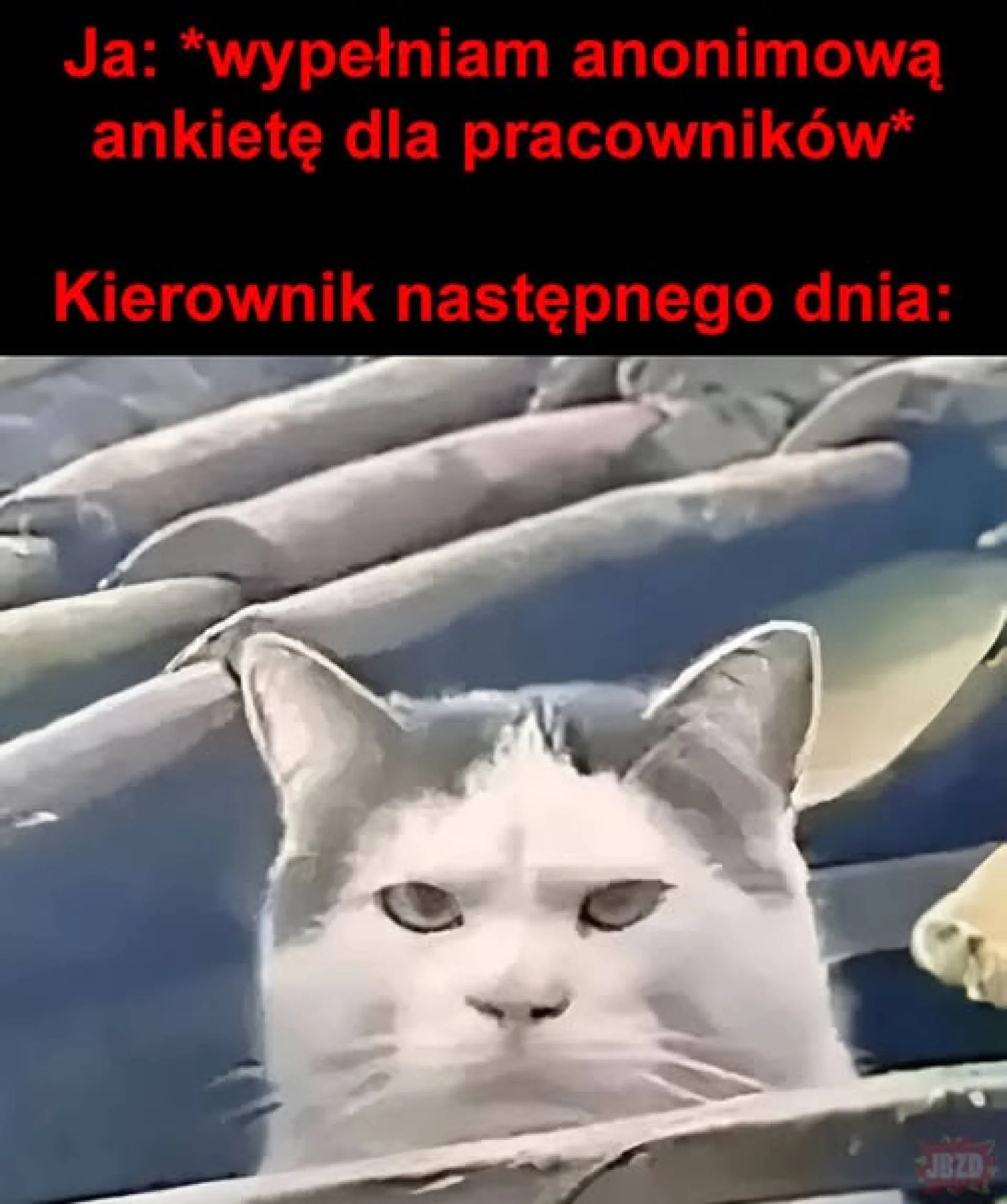 `Ten wzrok