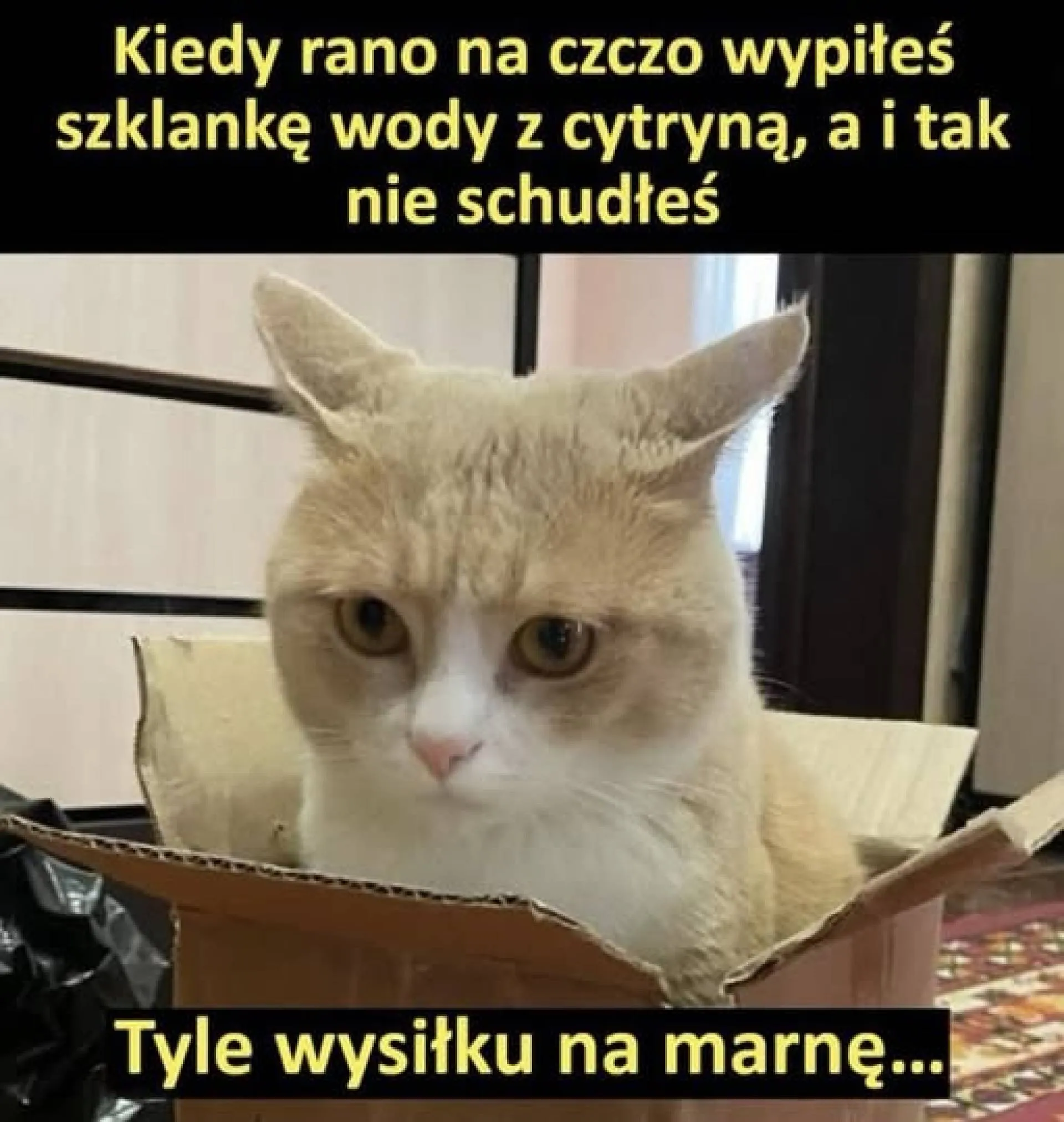 Tyle wyrzeczeń