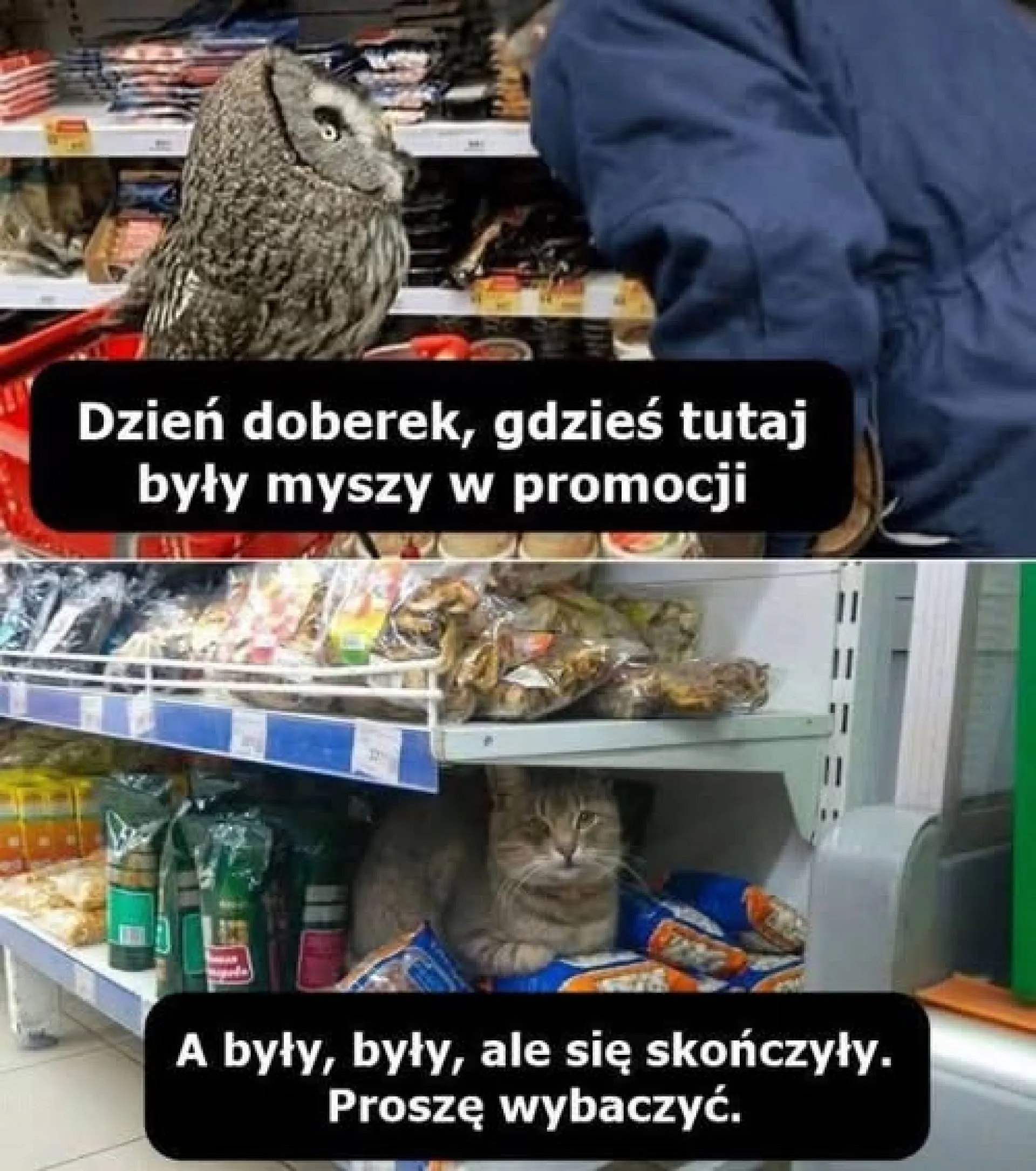 Były i się zmyły