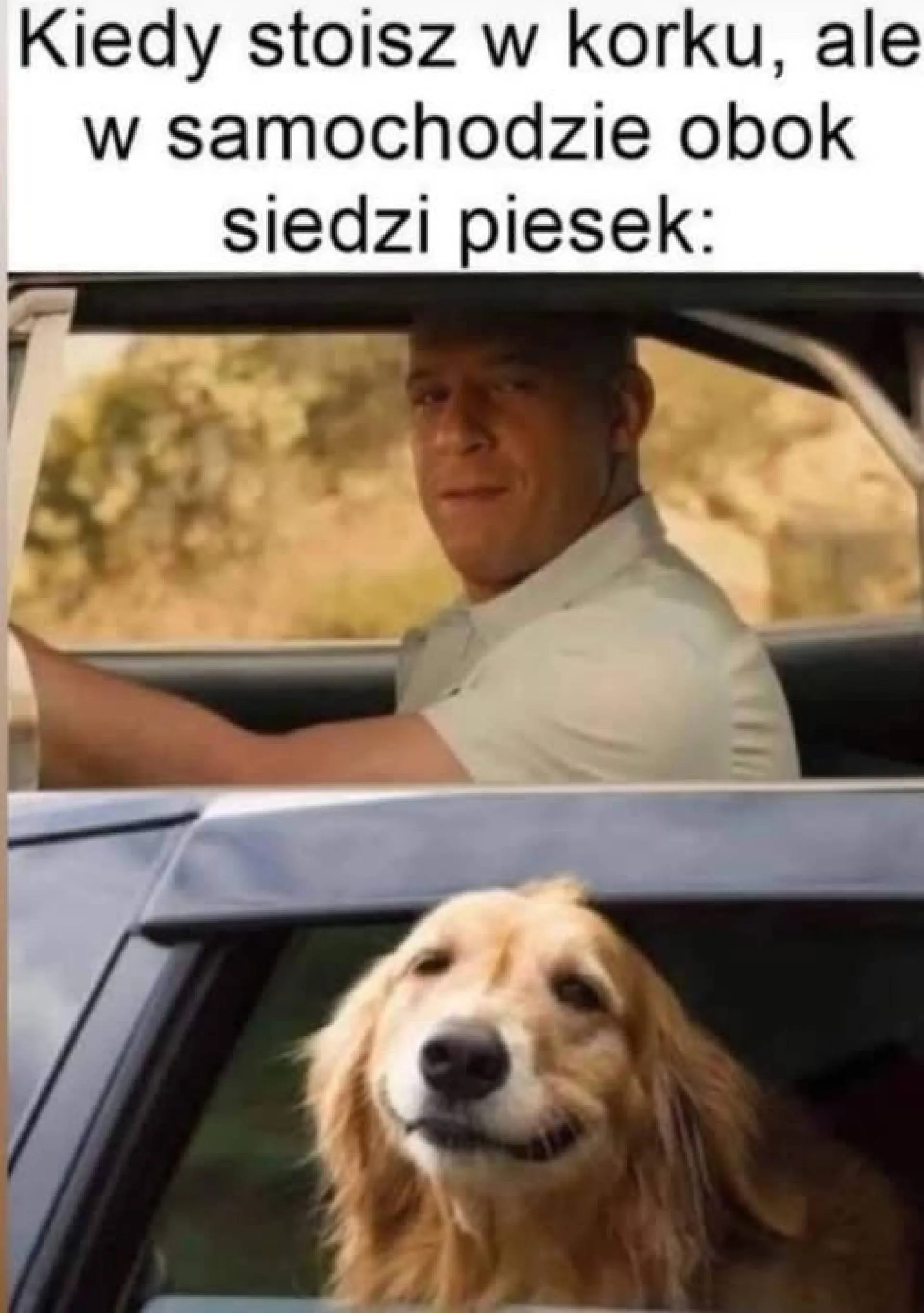 Co za spotkanie