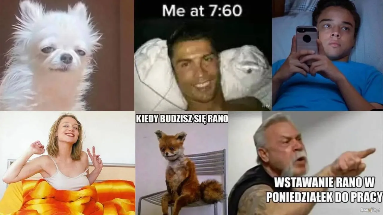 Wcześnie wstajesz? Nie łam się - te MEMY o porankach poprawią ci humor!