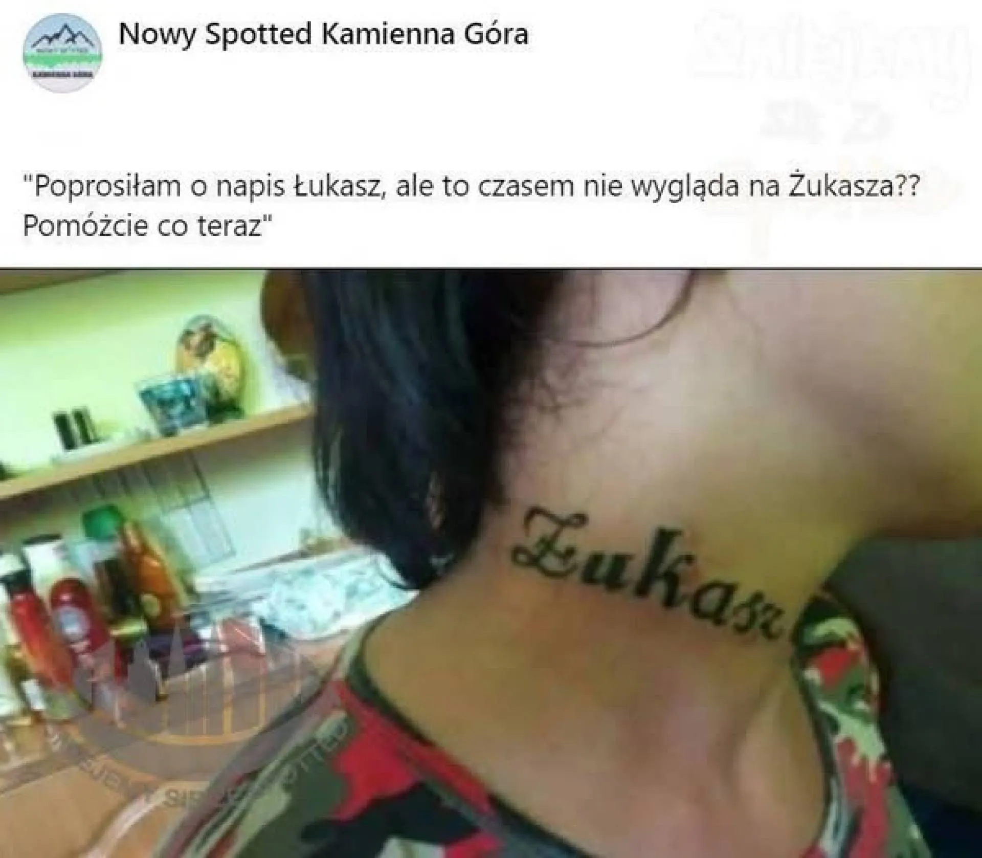 Żukasz, czego szukasz