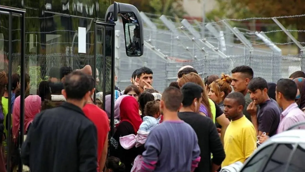 Imigranci Imigranci