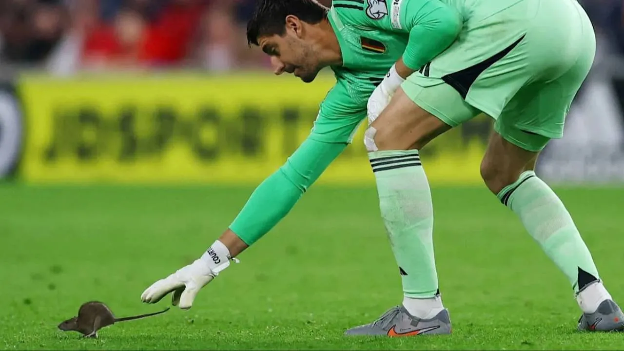 Szczur zmusił niemieckiego sędziego do przerwania meczu [WIDEO]