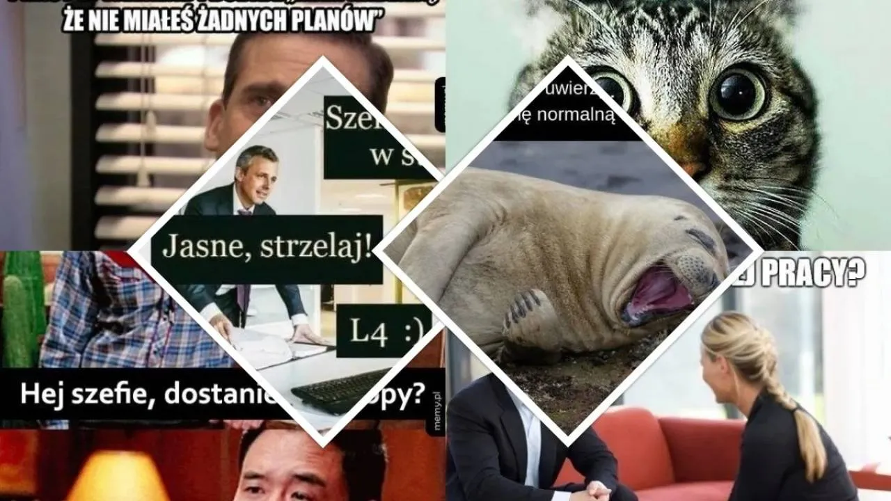 Dzień Szefa 2025: Internet eksplodował! ZOBACZ MEMY o pracodawcach i nie tylko