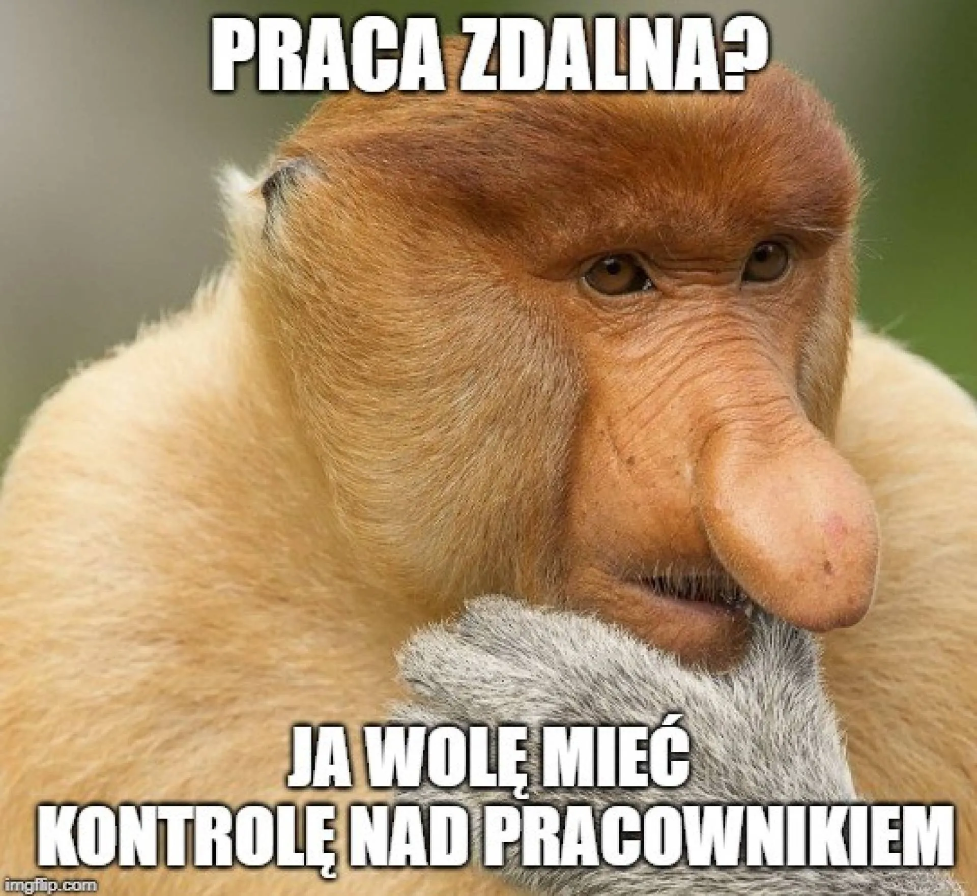 Kontrola