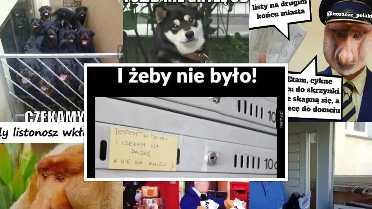 Dzień Poczty Polskiej 2025. ZOBACZ najlepsze MEMY o listonoszach