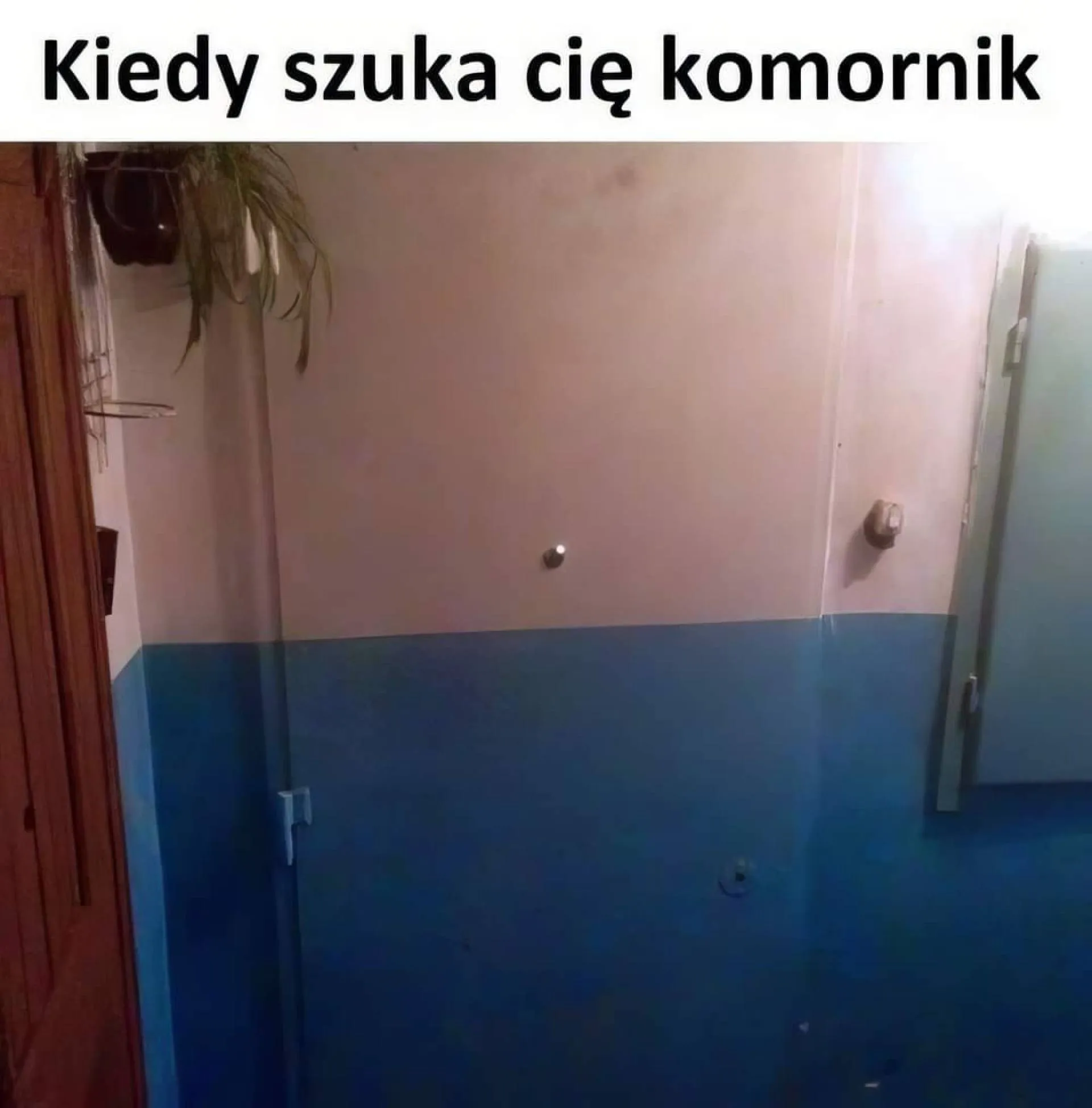 Nie ma mnie