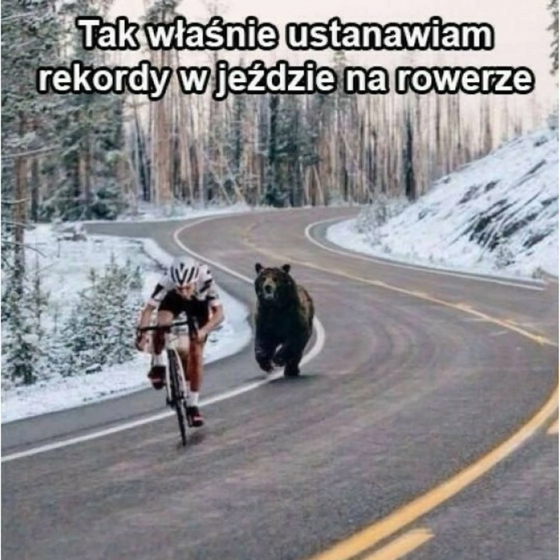 w_4eb7b2691c9cbe8df3af7dd6a3dc806ffc7d7820f4f2ac8237c437966b319089_o.jpg