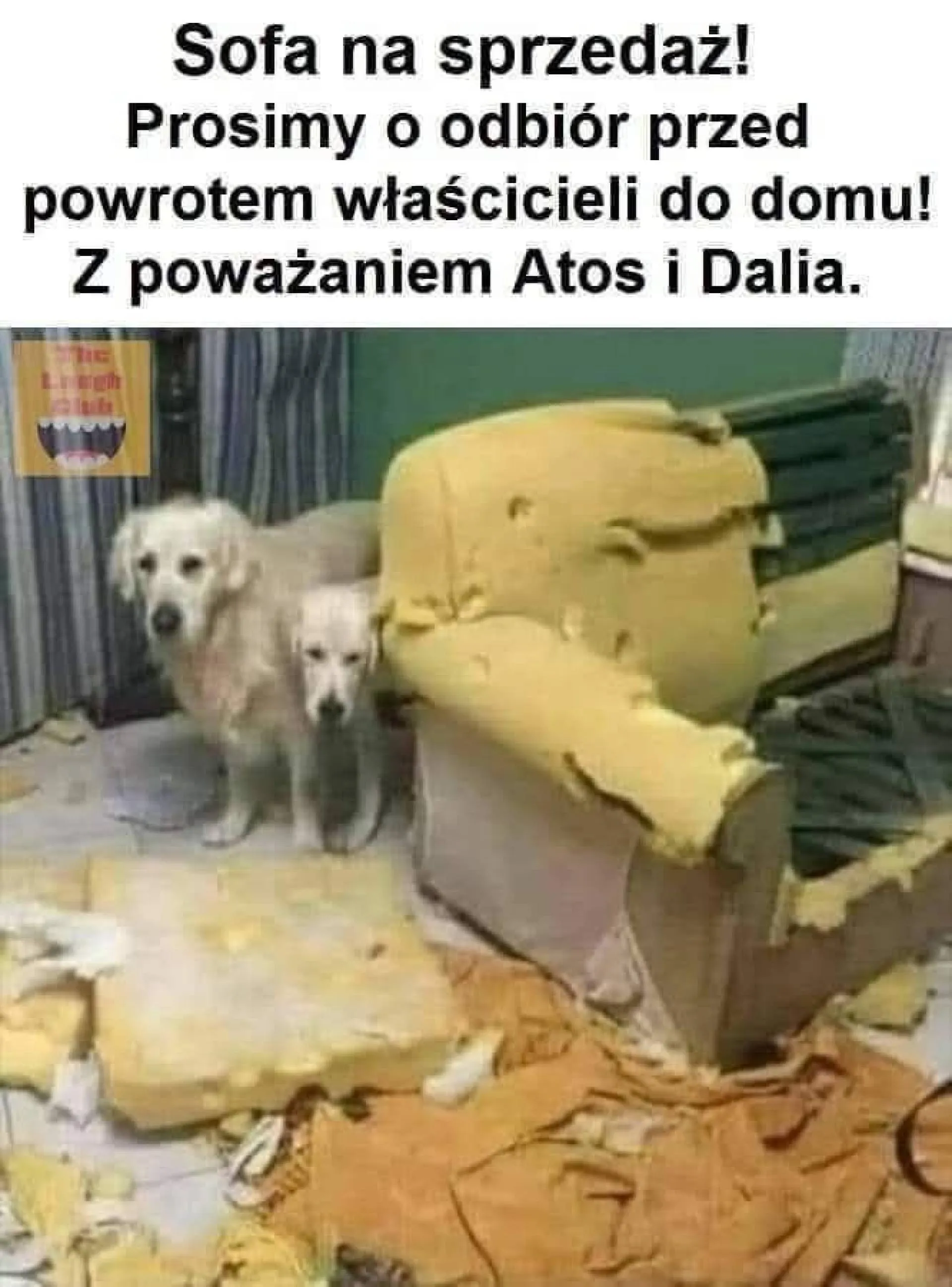 Tylko teraz