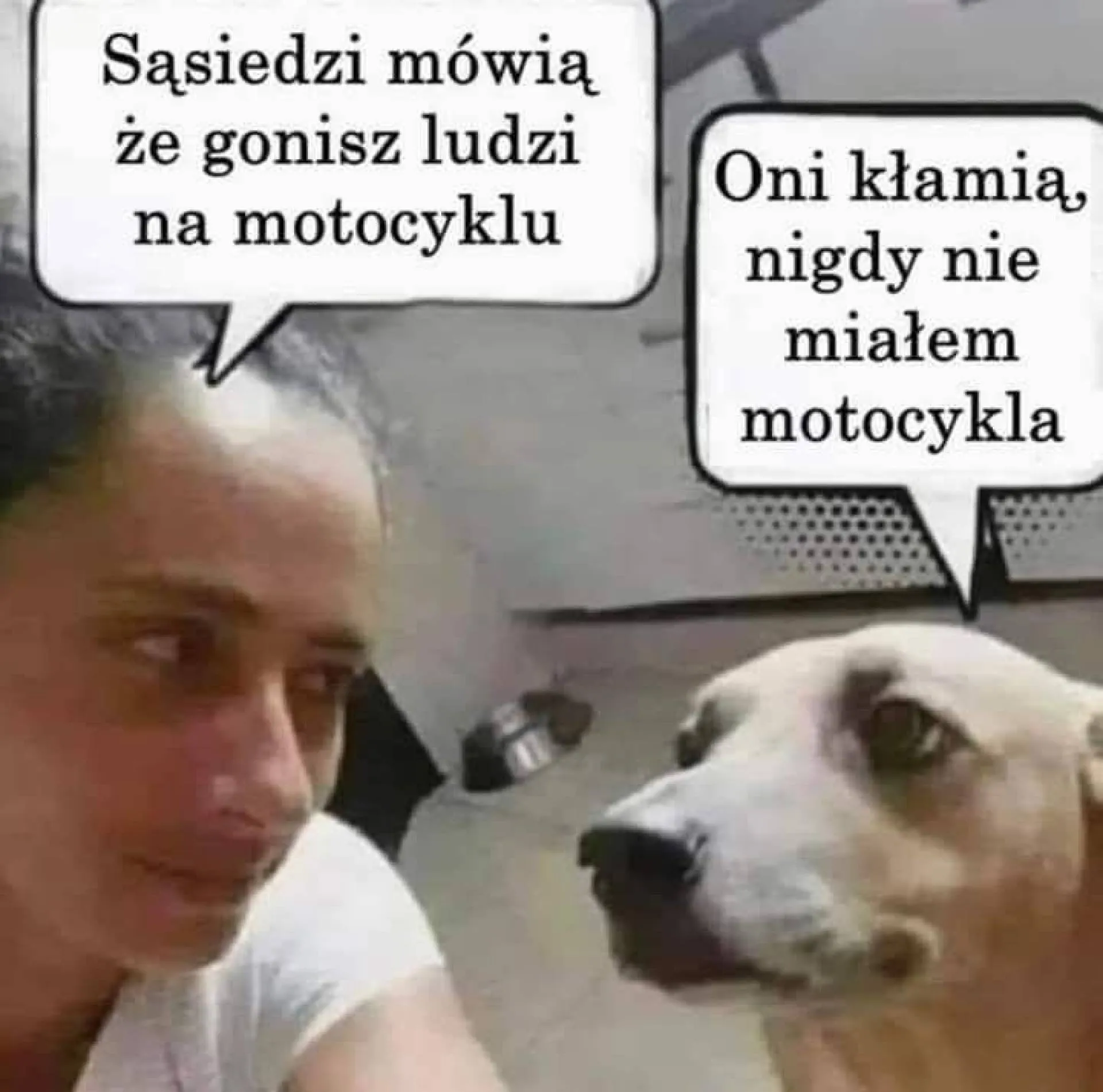 I jak mu nie wierzyć