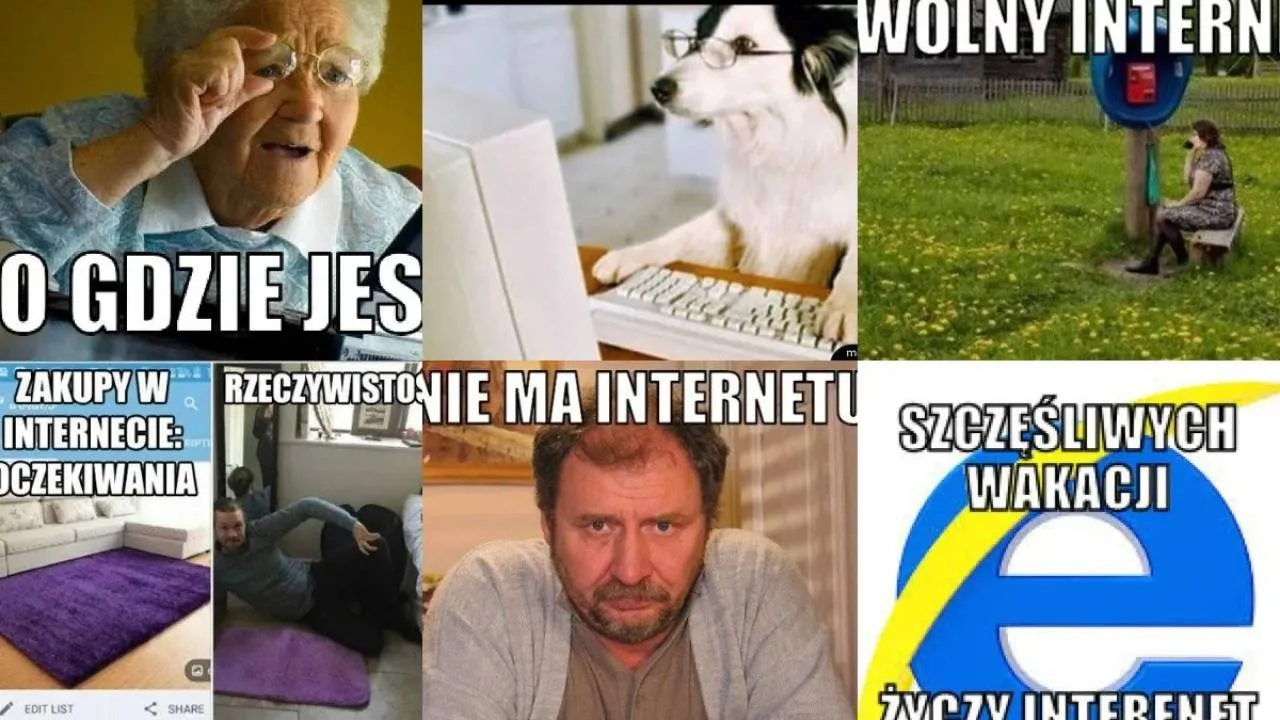 Dzień Internetu 2025: Memy rządzą siecią, a użytkownicy świętują z humorem [ZOBACZ]