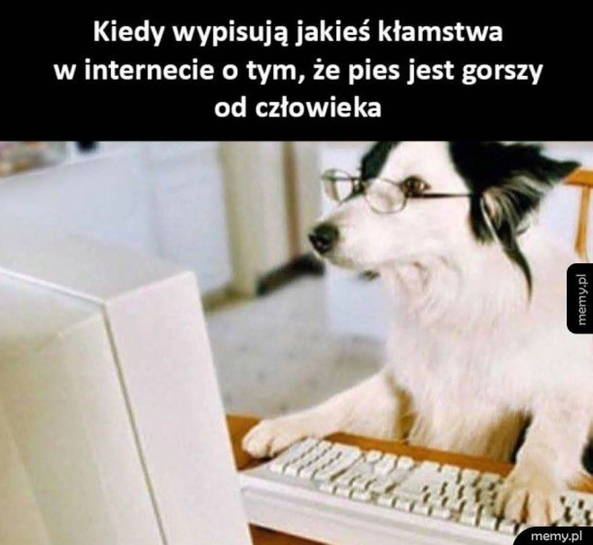 Internet