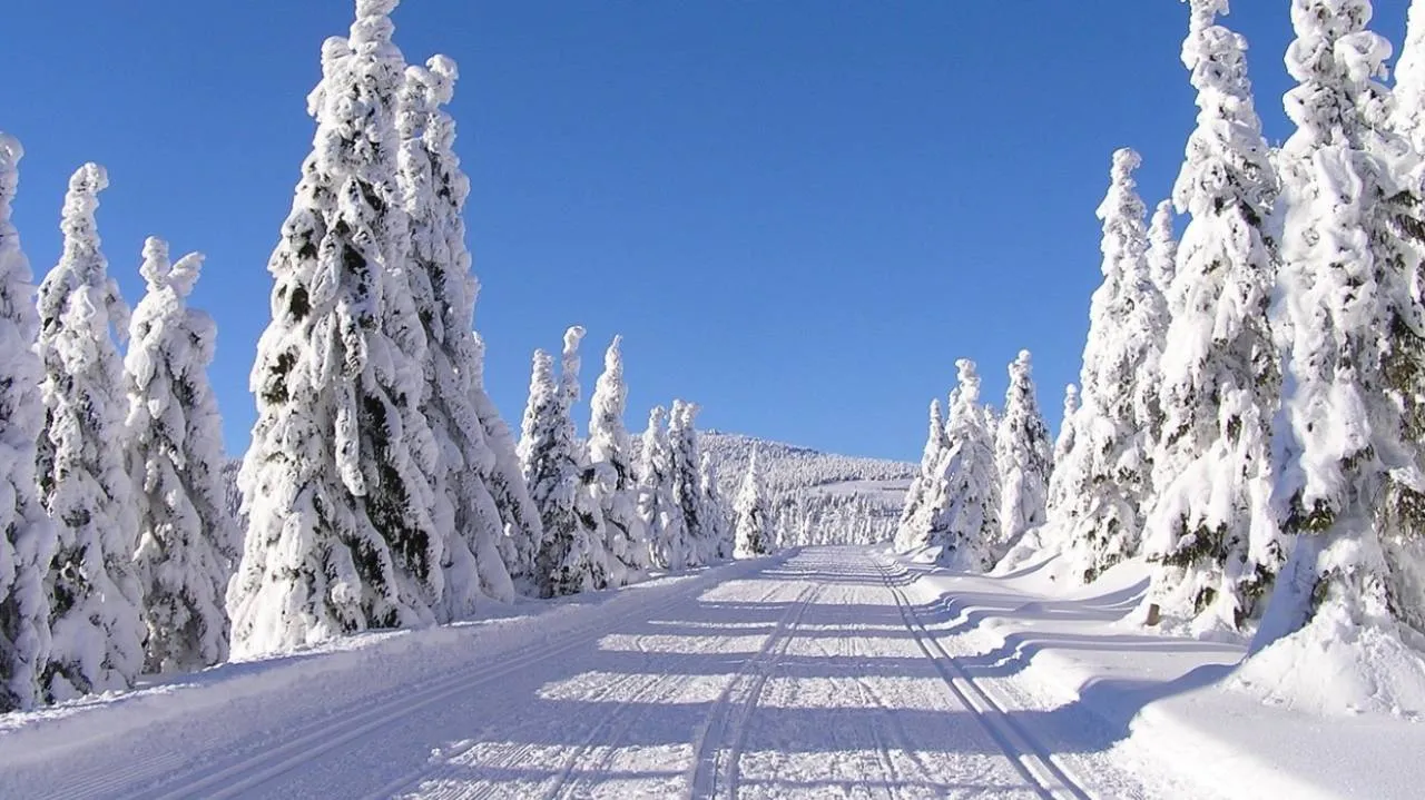 QUIZ: tylko prawdziwi górołazi zdobędą komplet punktów!
